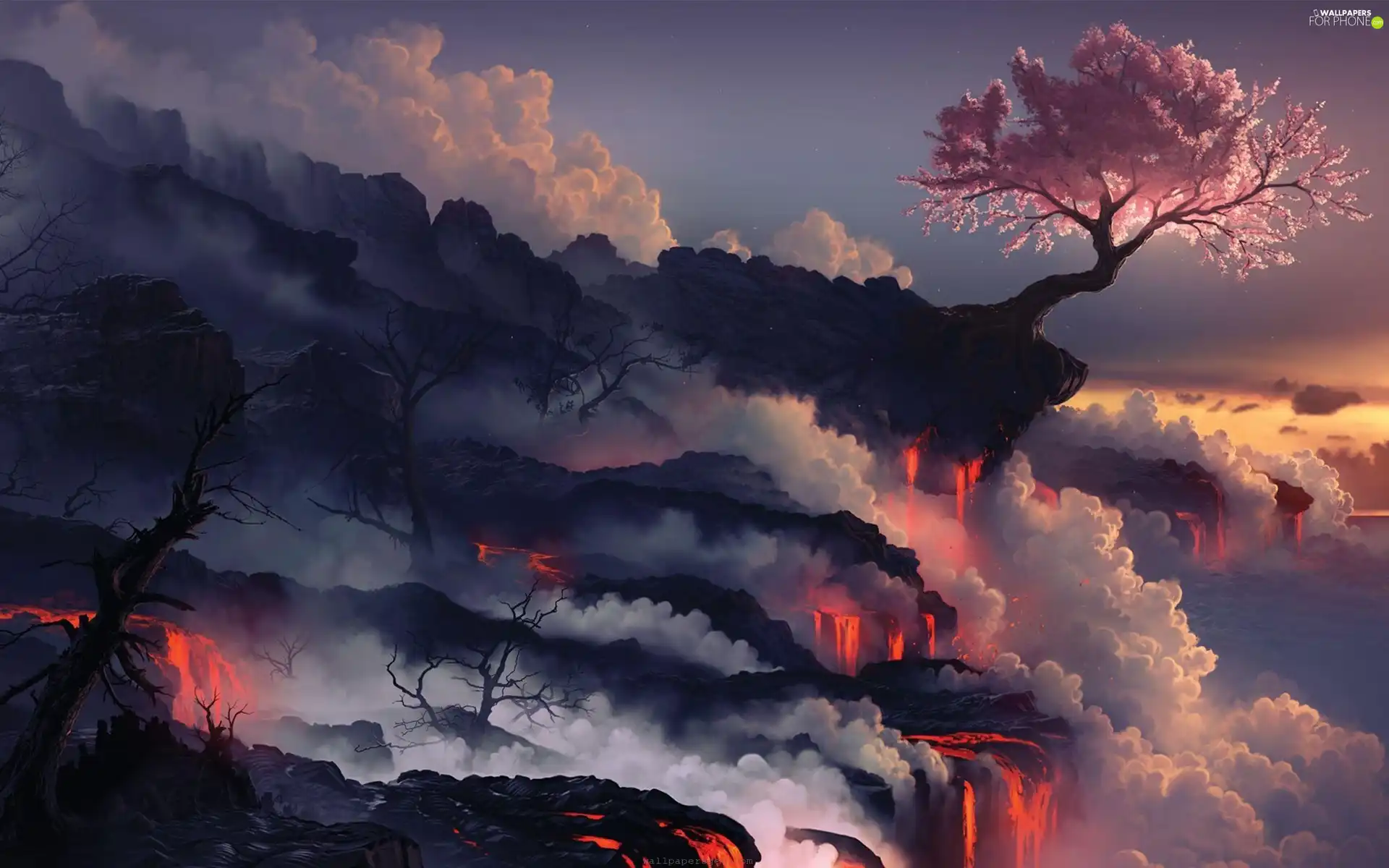 sapling, volcano, Lava