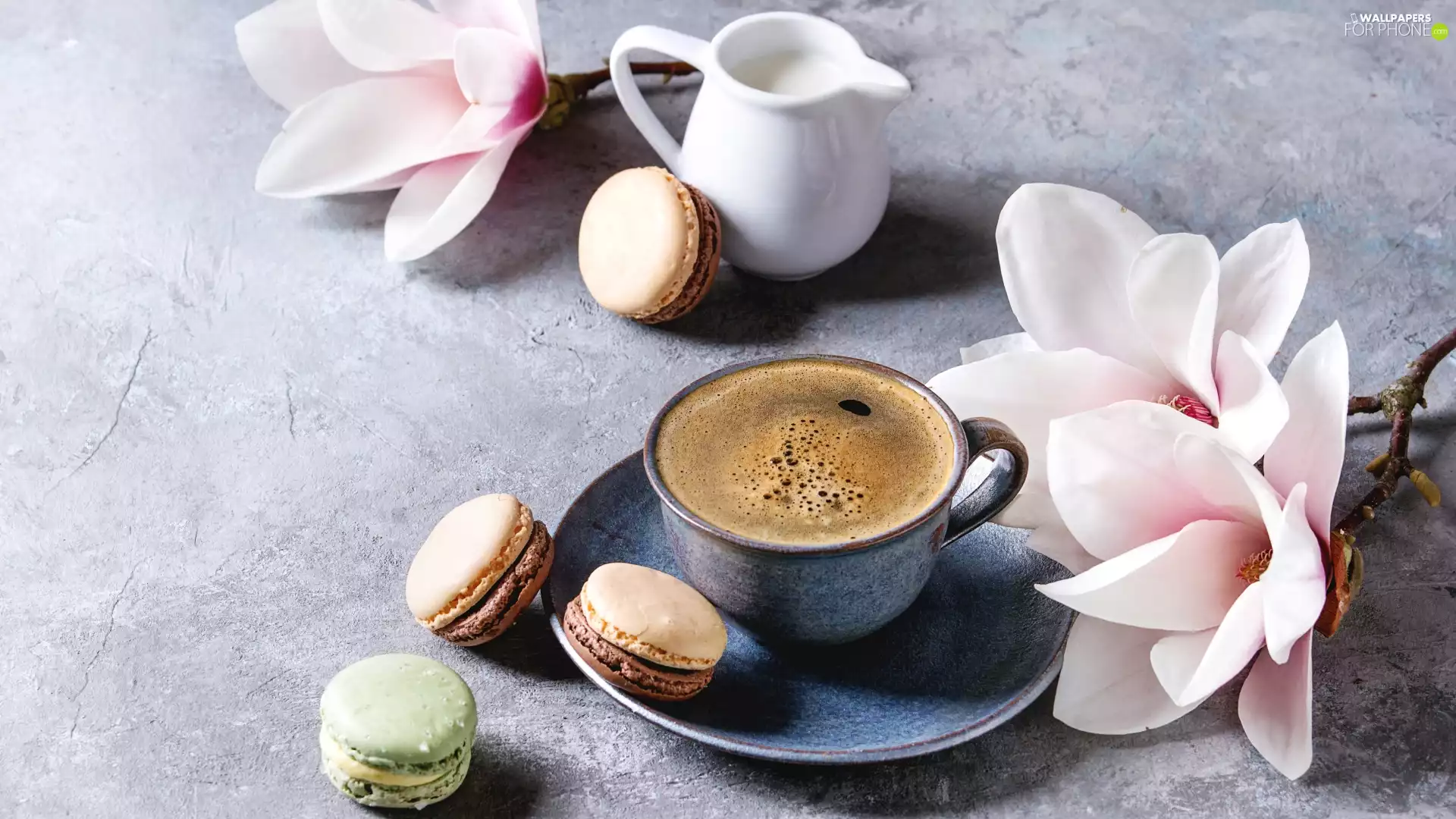 saucer, cup, jug, coffee, Flowers, Magnolias, Cookies, Macaroons, milk