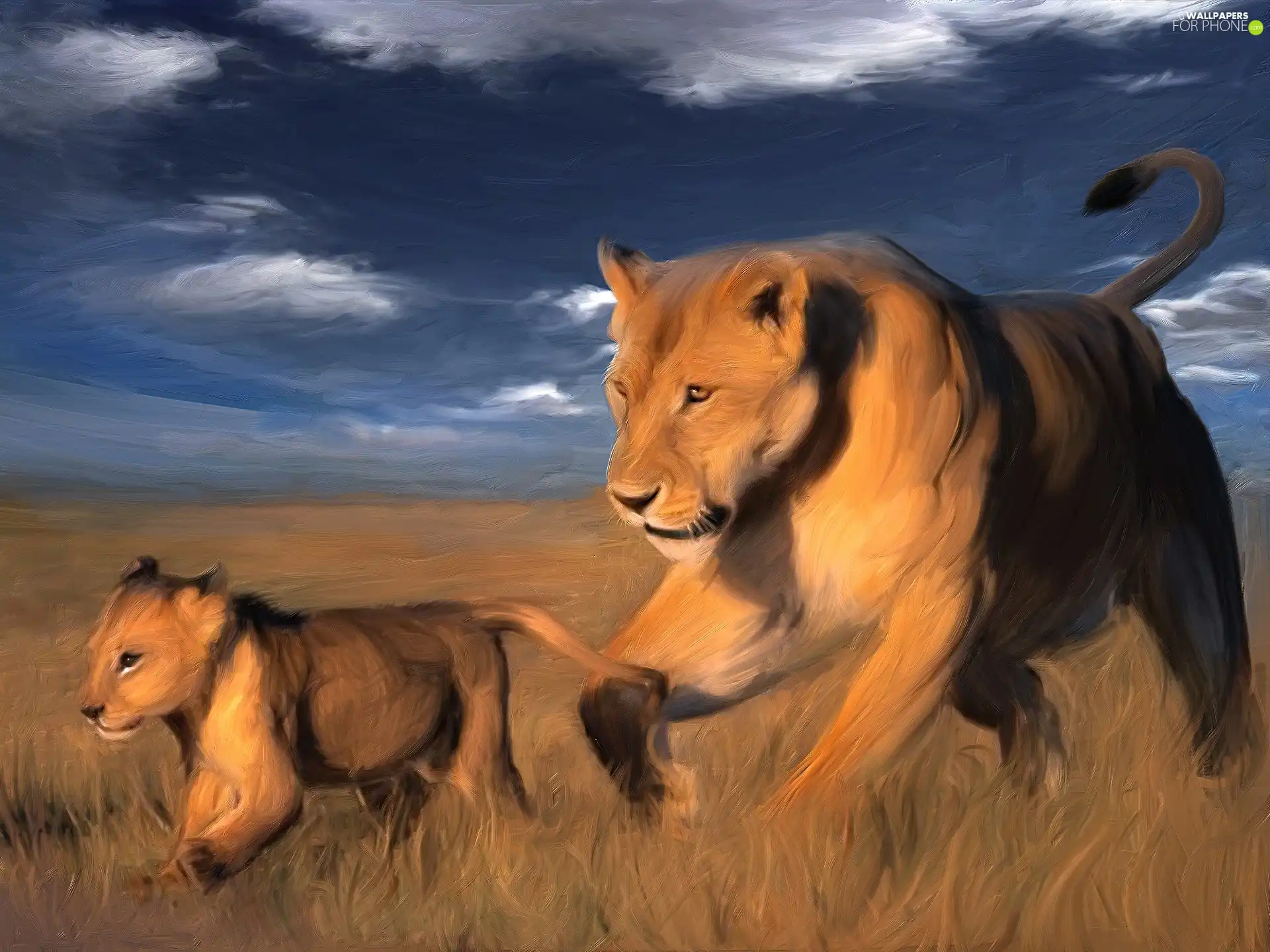savanna, stretching, lions