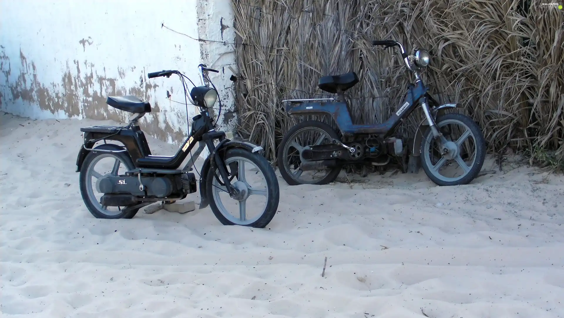 Tunisian, Scooter