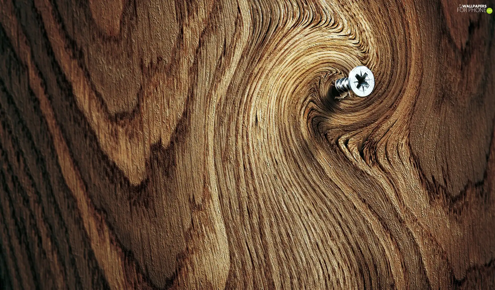 screw, Wood, Jars