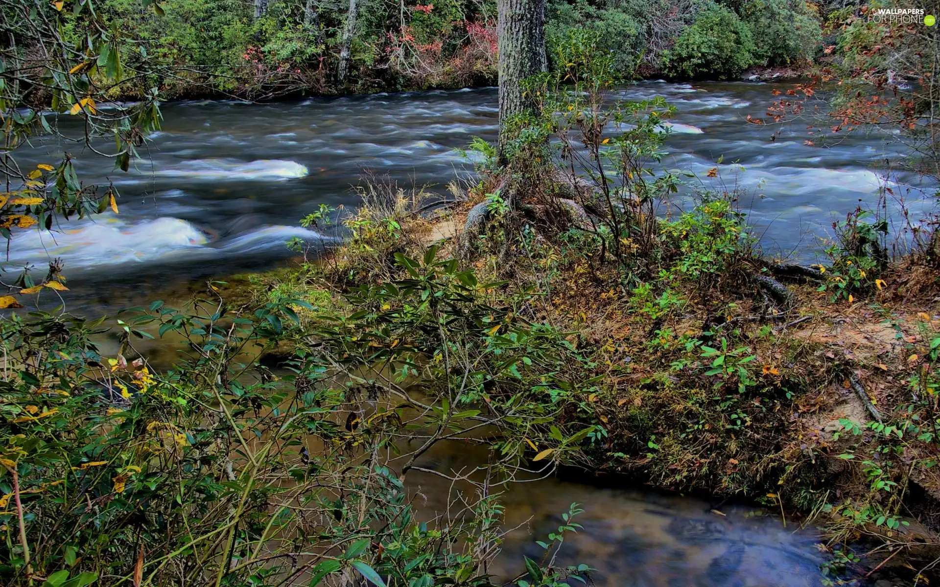 River, viewes, scrub, trees