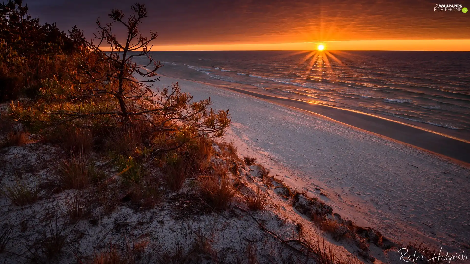 Plants, Poland, Baltic Sea, Great Sunsets, Beaches