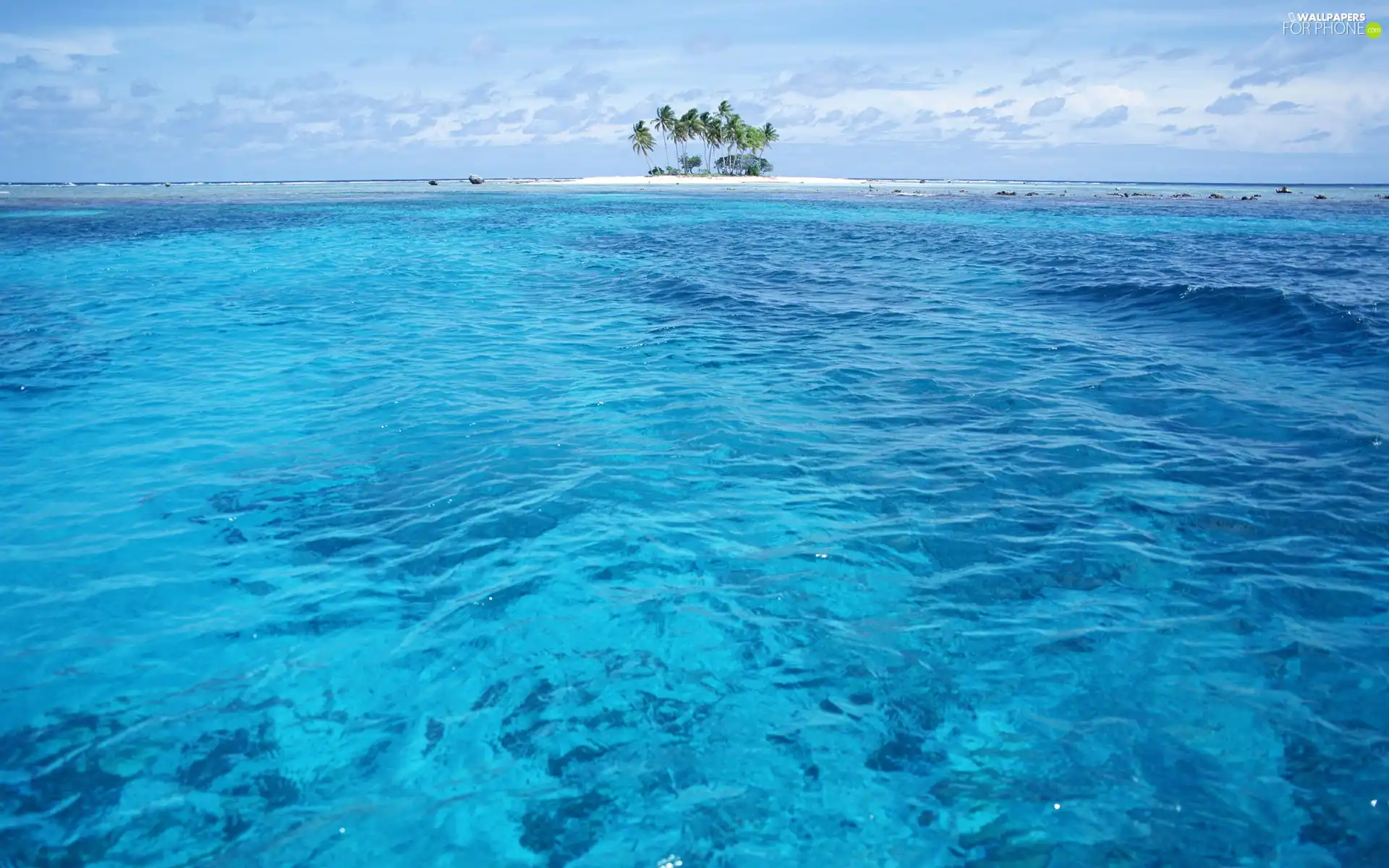 sea, Island, Palms