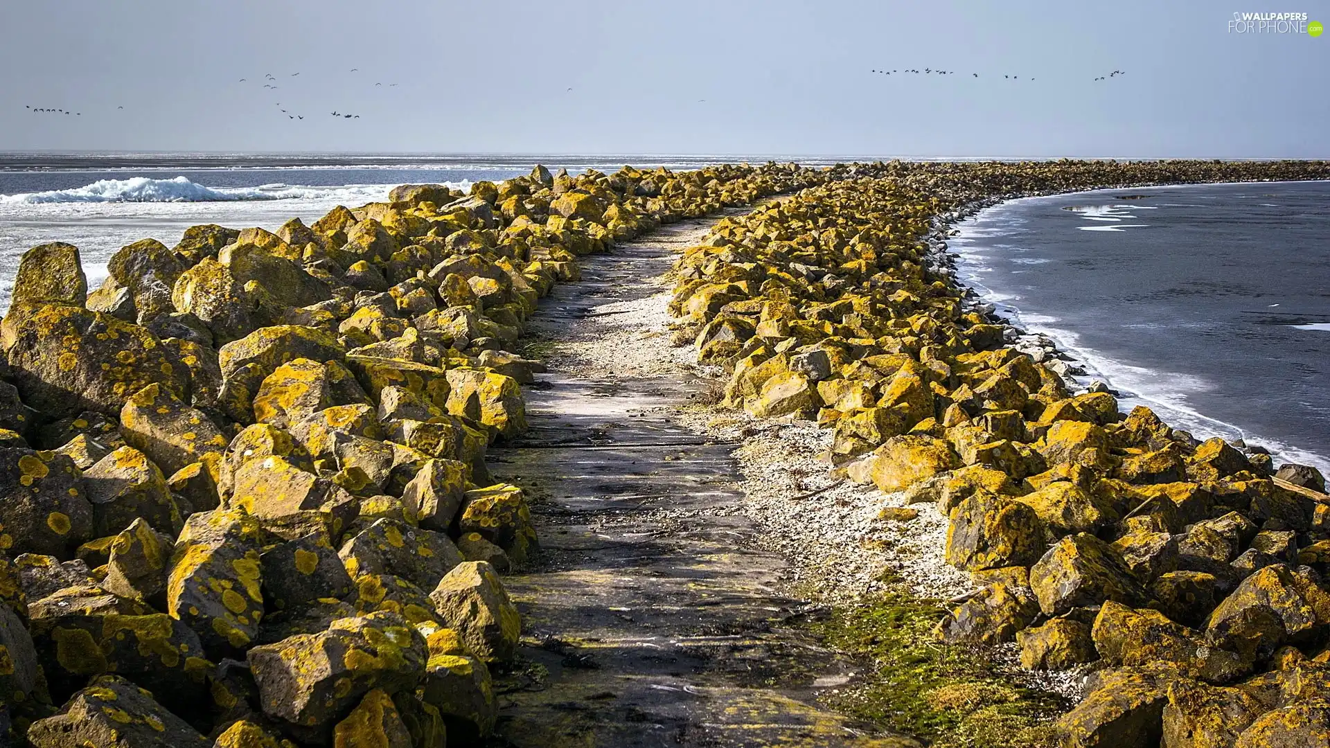 sea, Stones, Path