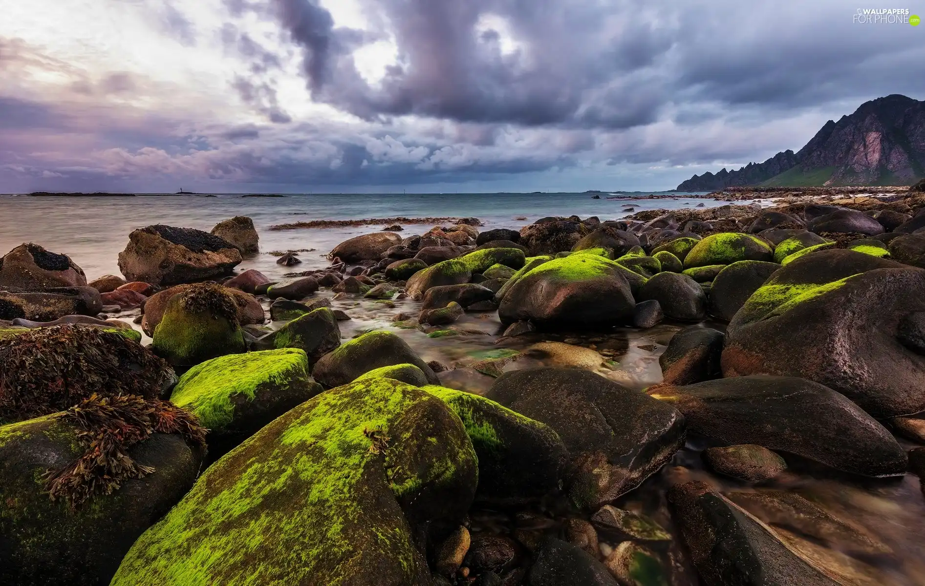 Stones, sea