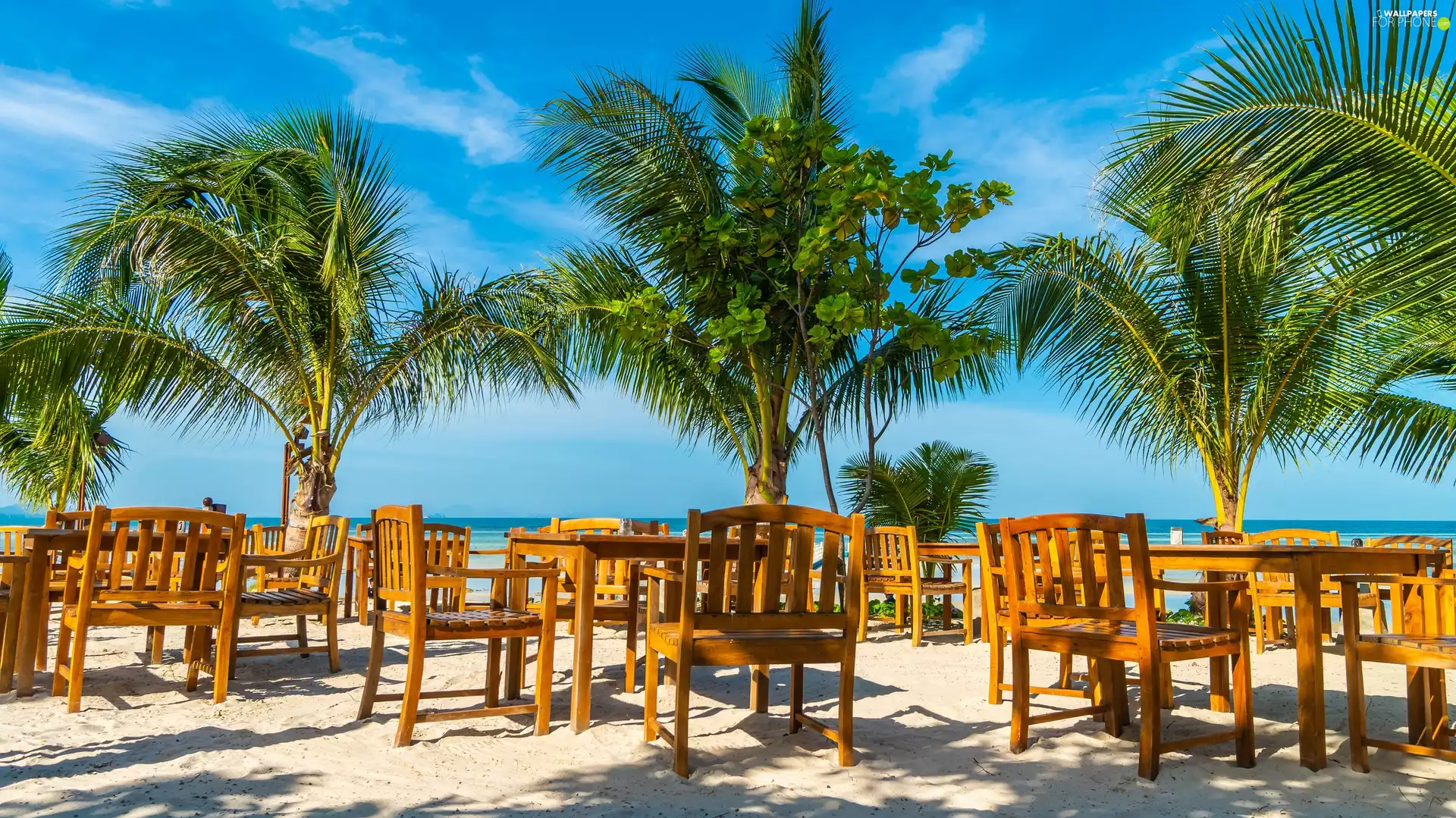 Beaches, sea, Stool, Palms, Tables