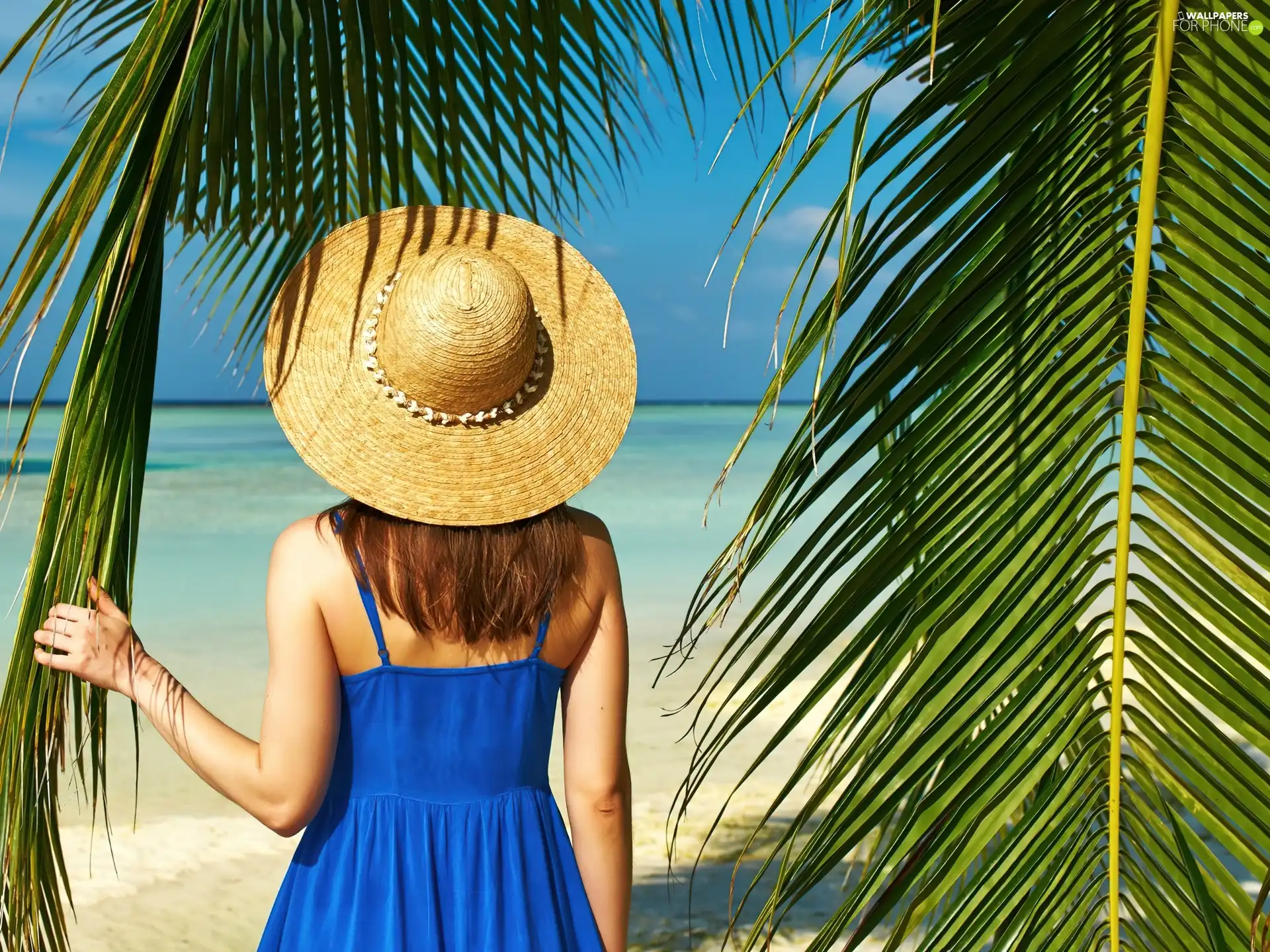 Palms, Women, sea, Tropical, Beaches, Hat