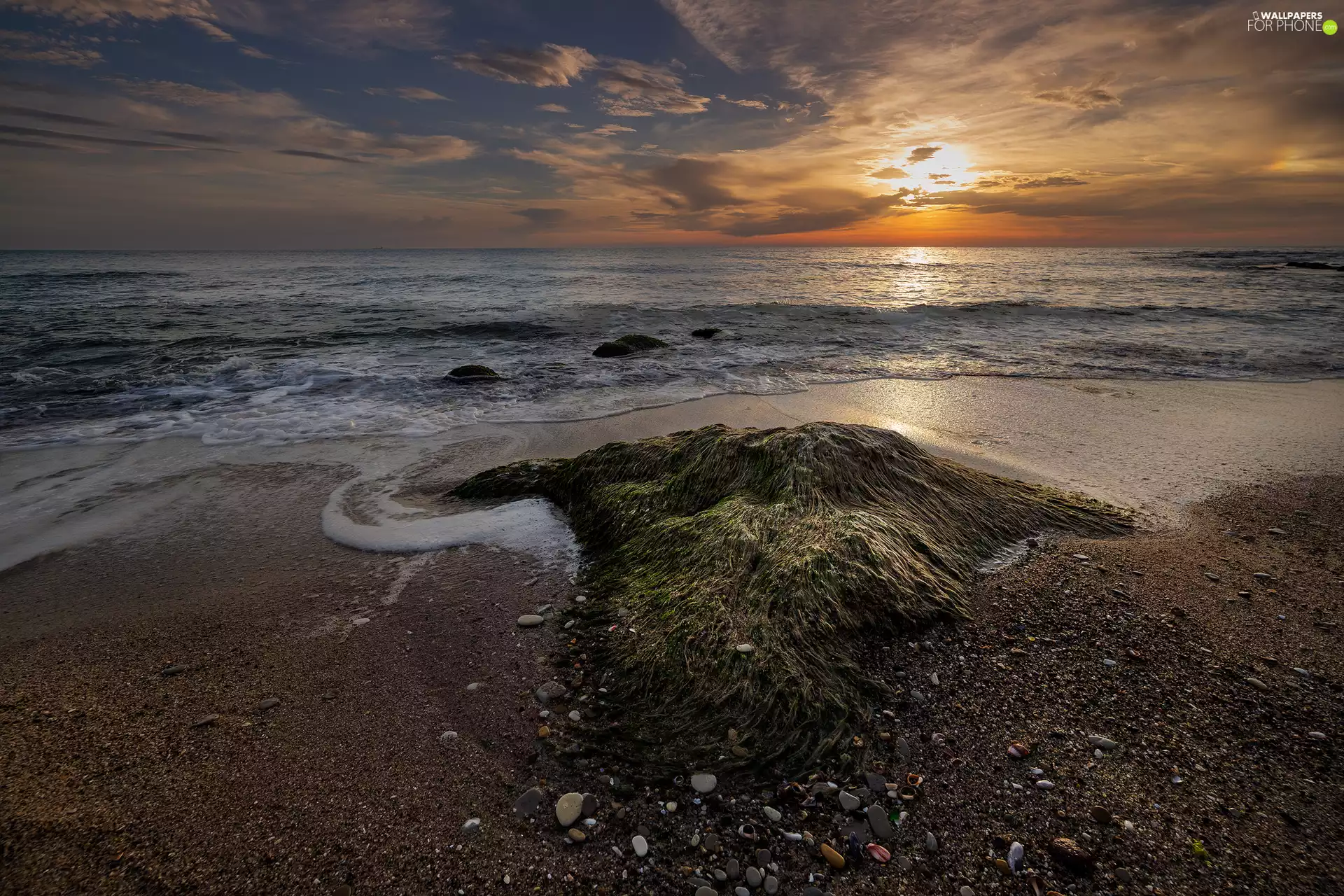 Sand, Bulgaria, Sunrise, seaweed, Black Sea