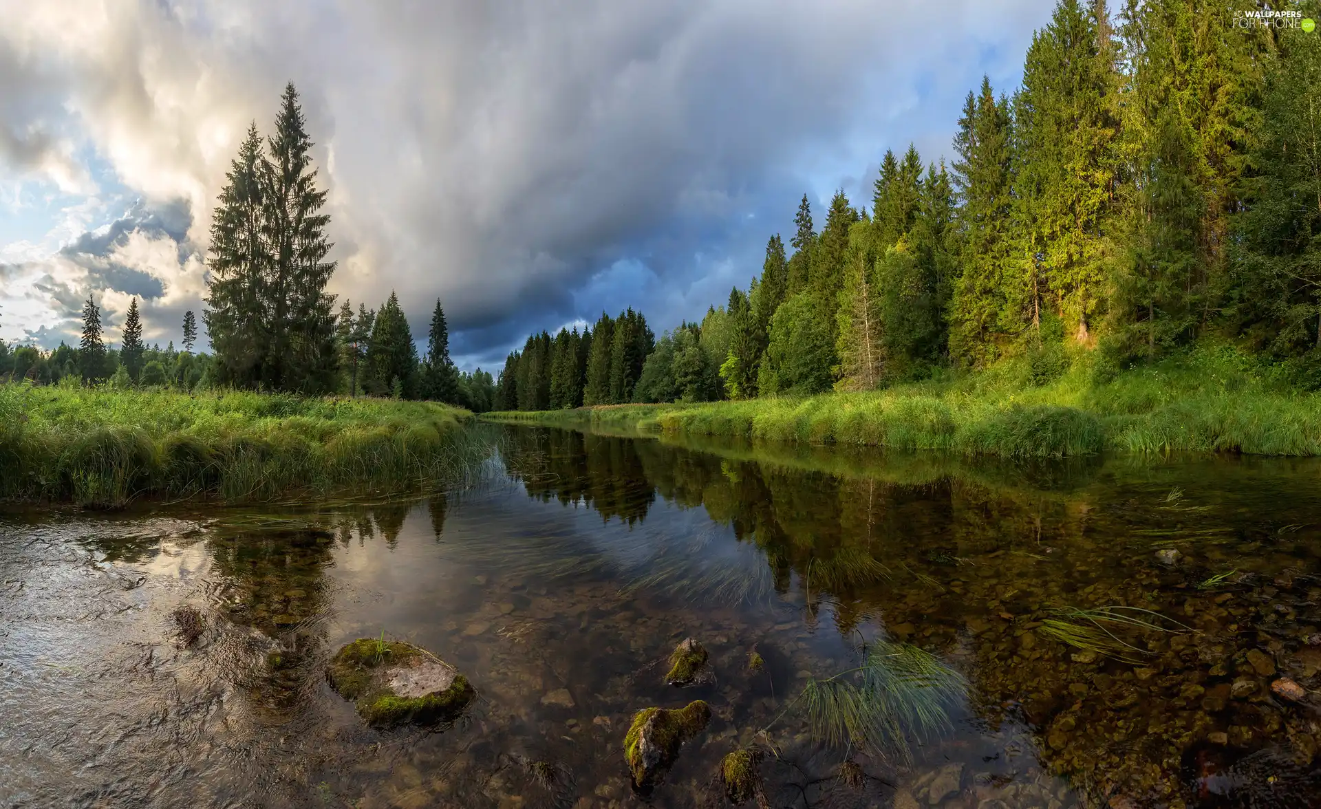 trees, Stones, Sky, seaweed, River, viewes, clouds