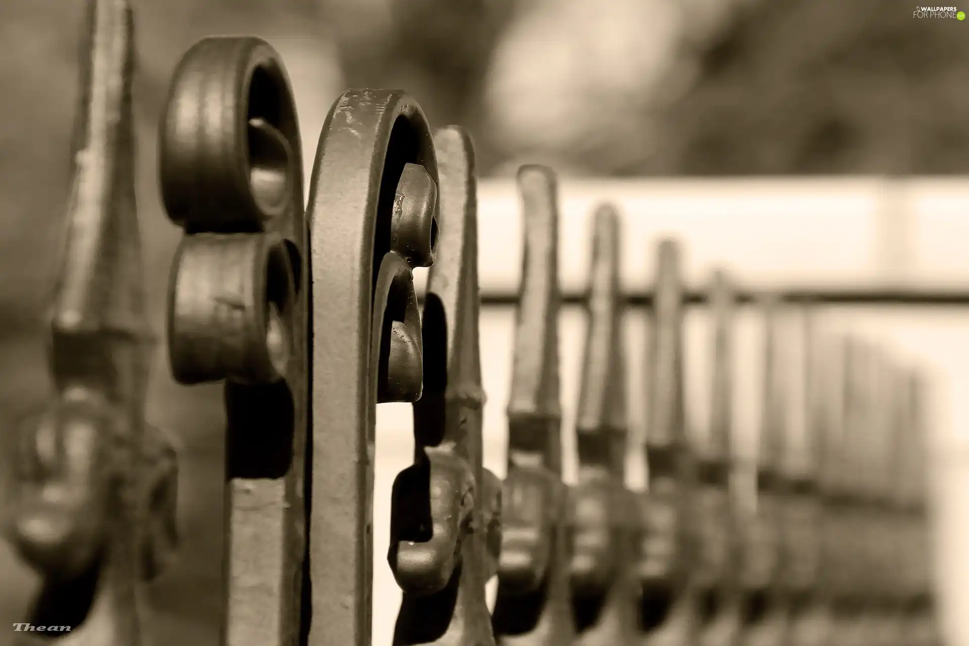 fence, Fance, sepia, Metal