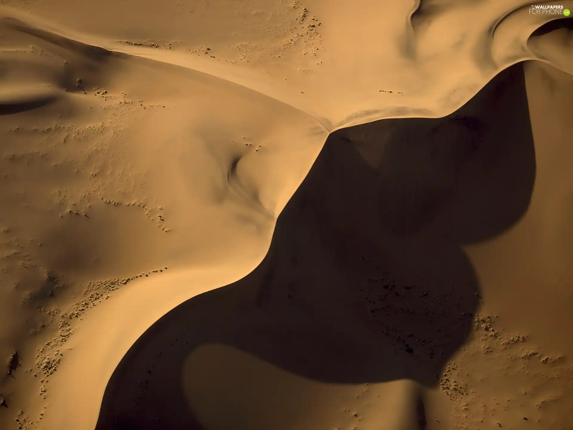 shadow, Namibia, Africa