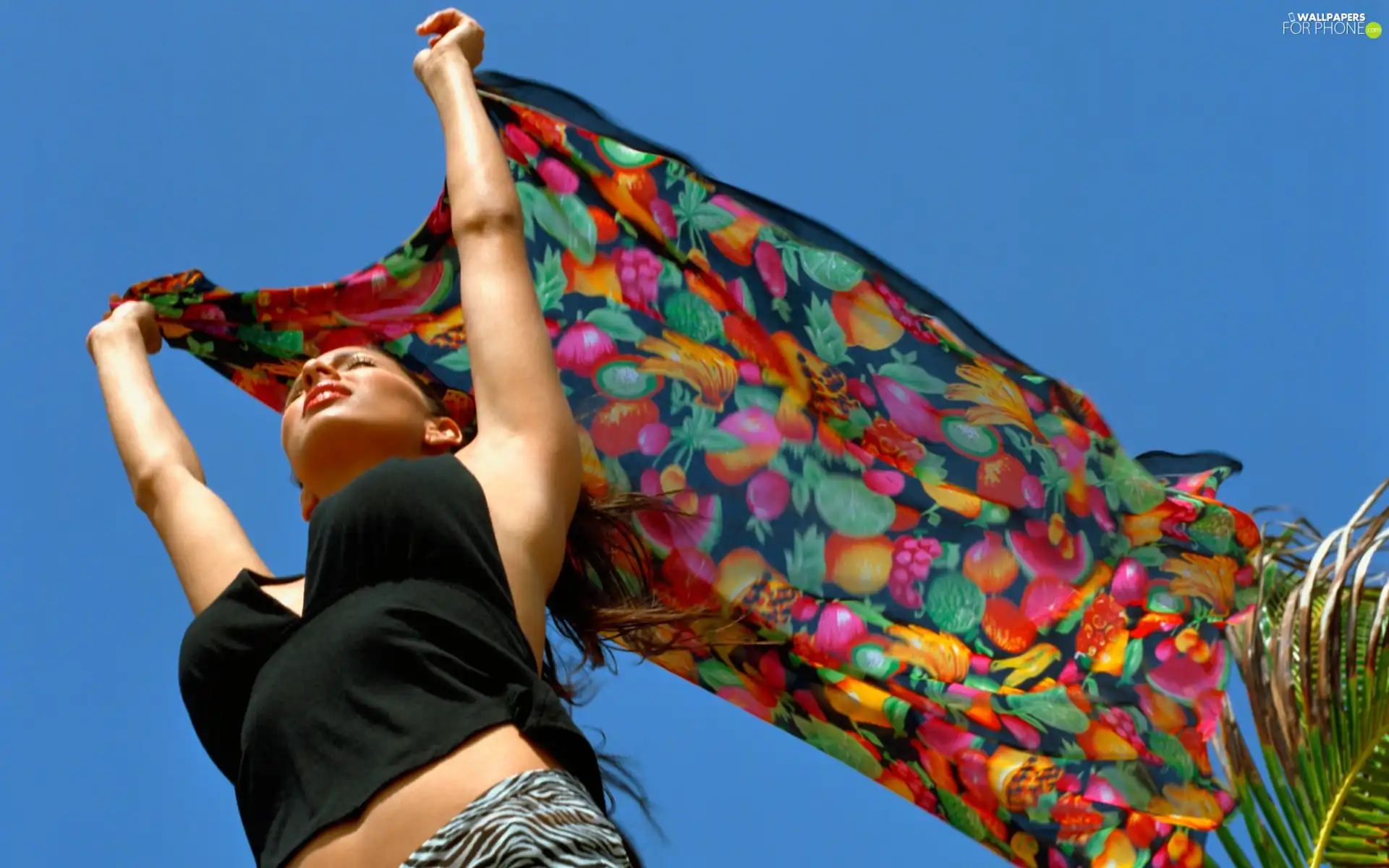 shawl, Women, color