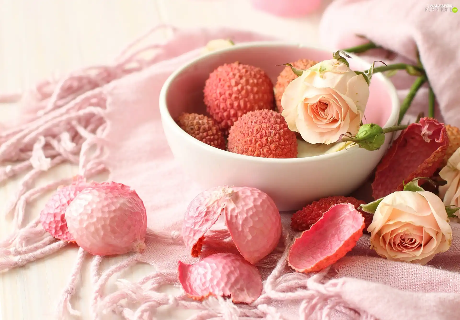 composition, Pink, shawl, roses