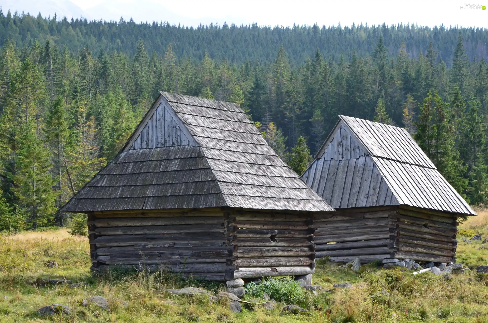 Zakopane, Sheepfarm