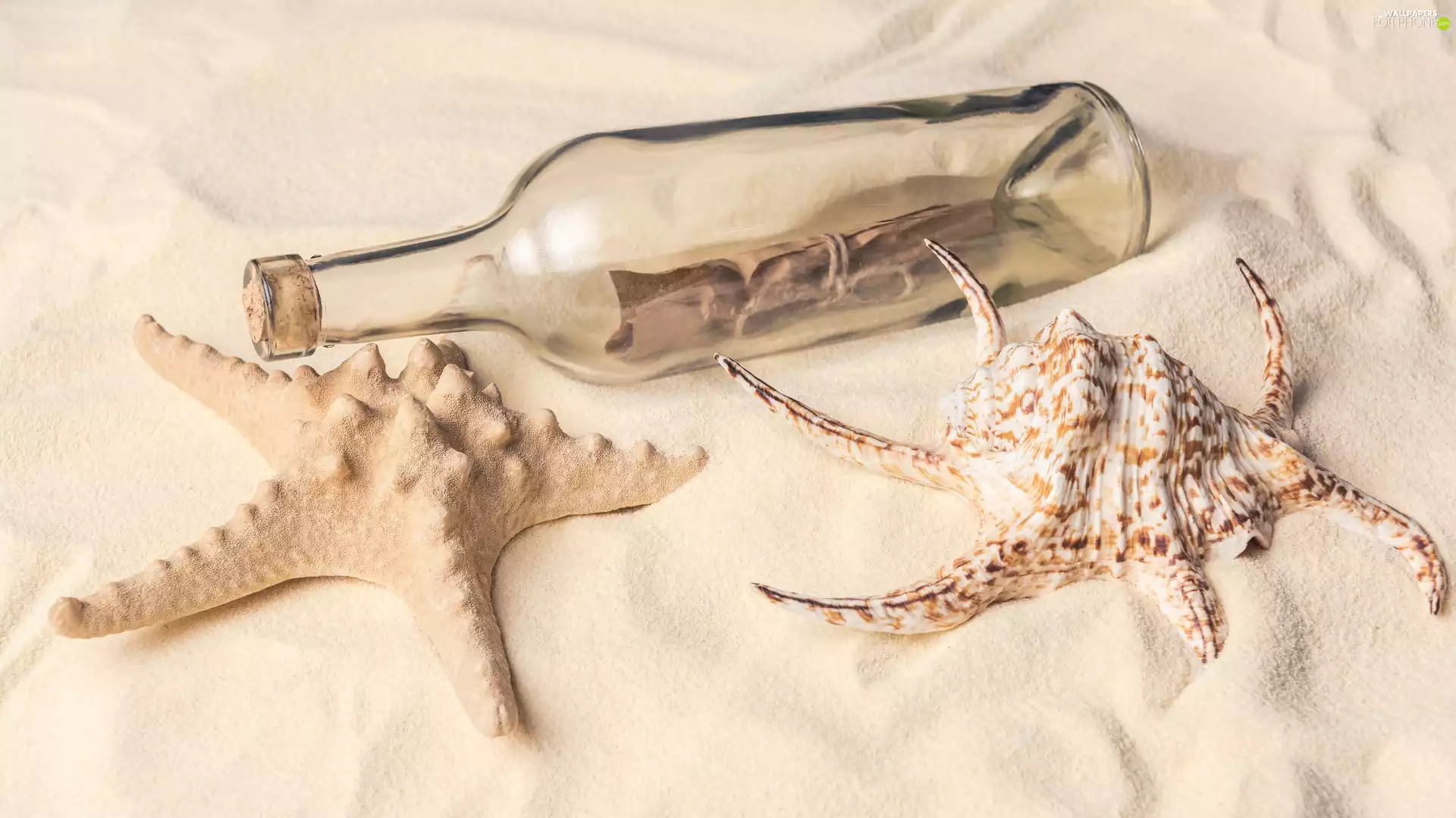 starfish, shell, Bottle, letter, Sand