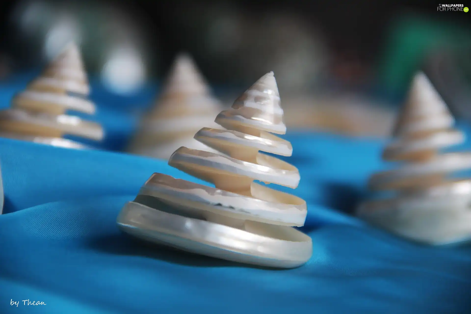 Shells