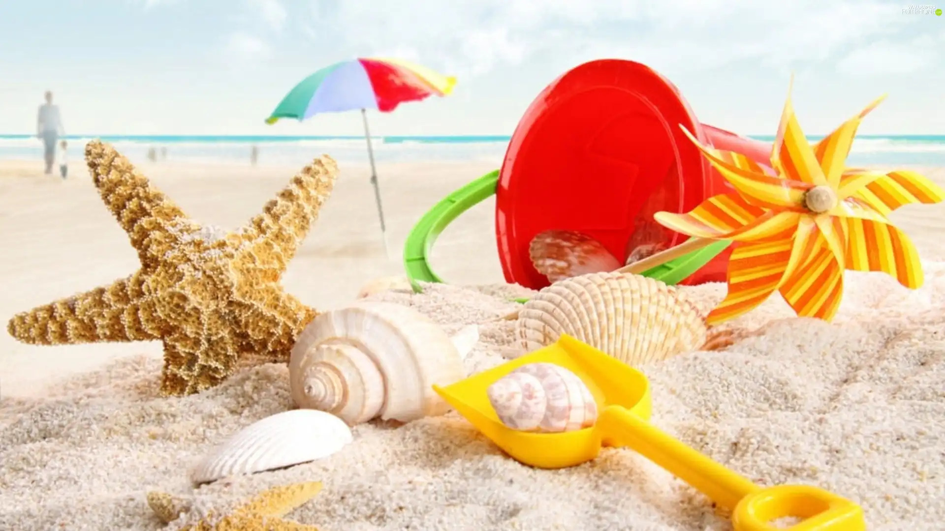 Shells, Sand, toys