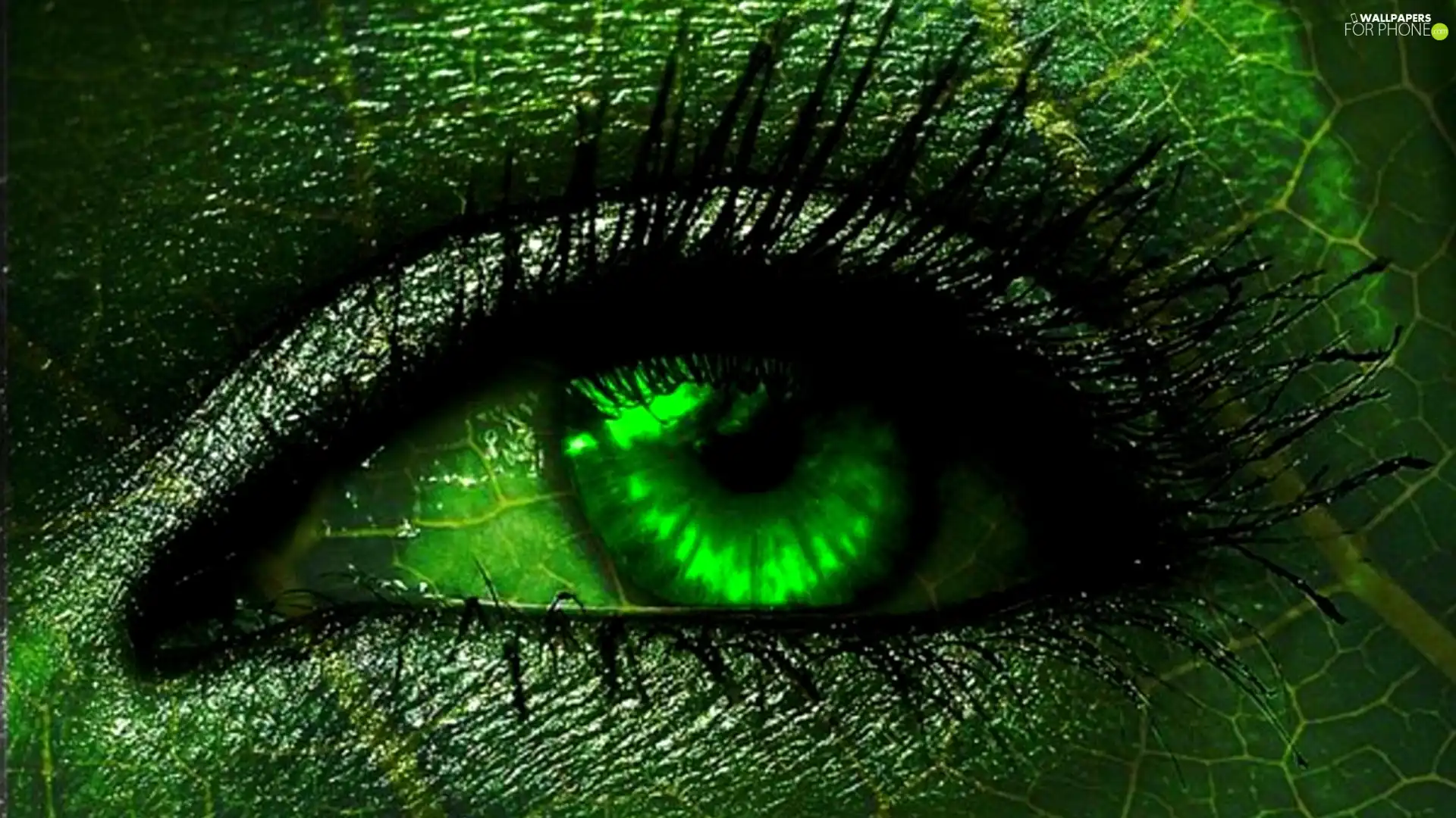 green ones, Green, skin, eye