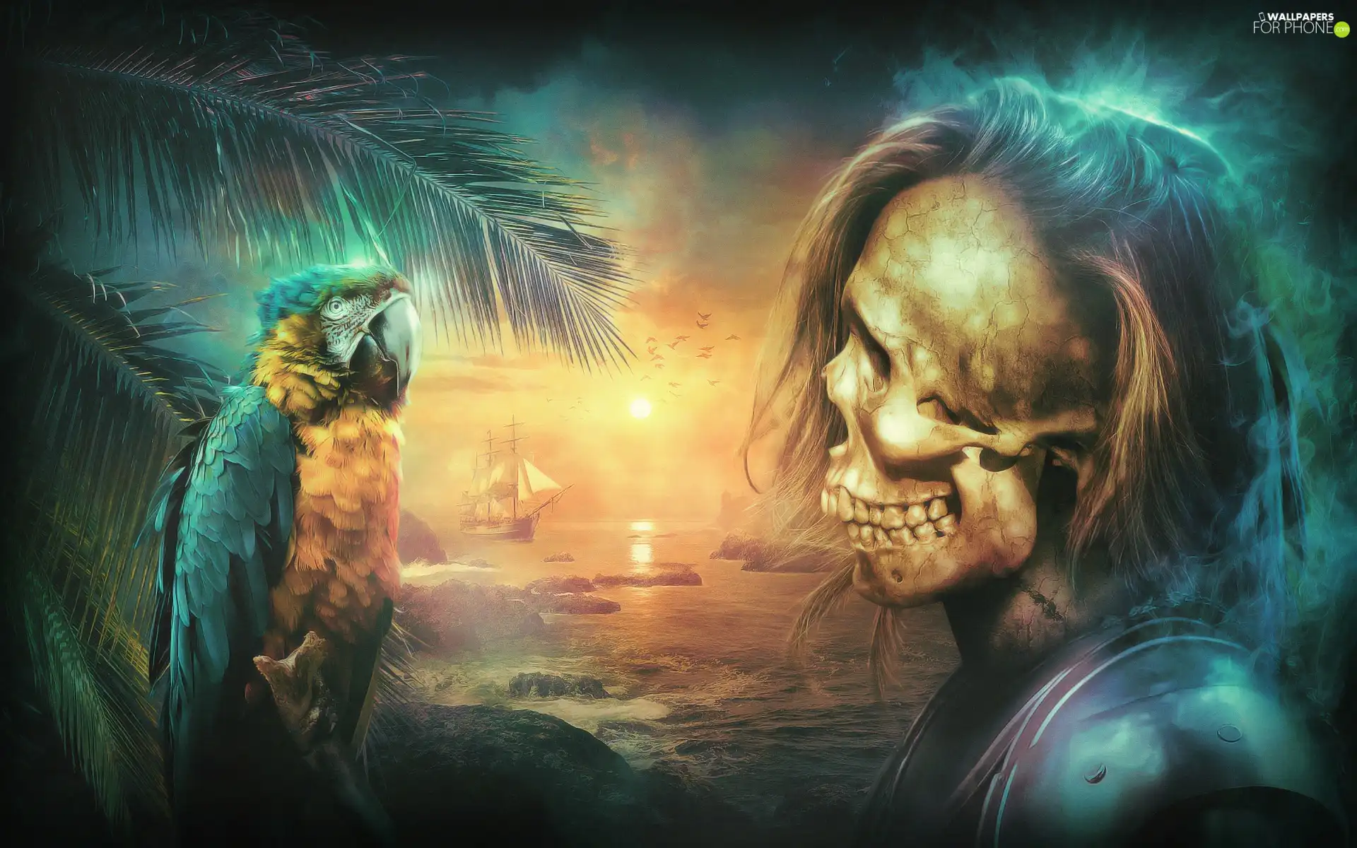 skull, sea, parrot