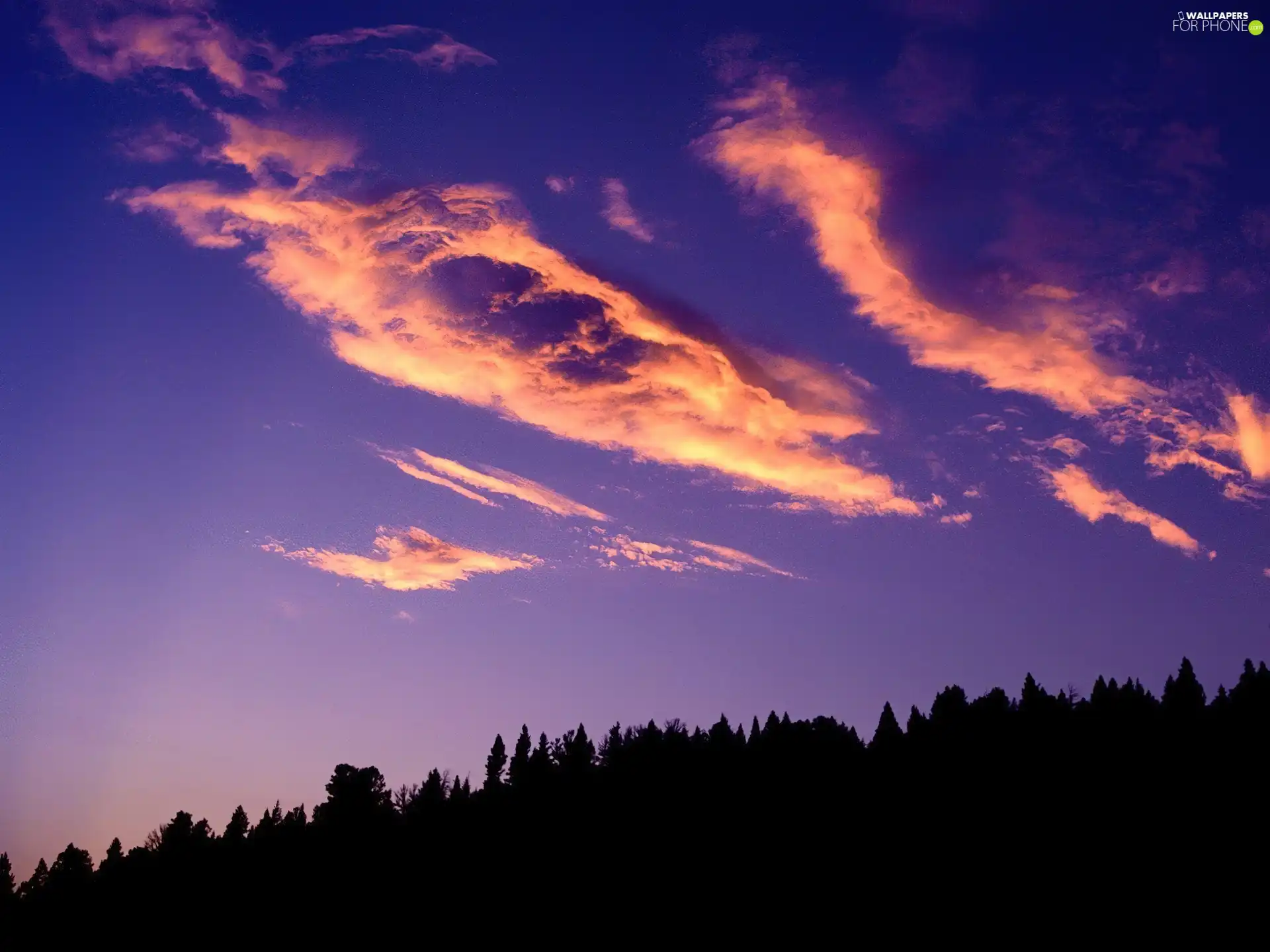 purple, sun, shadows, clouds, The setting, Sky, trees