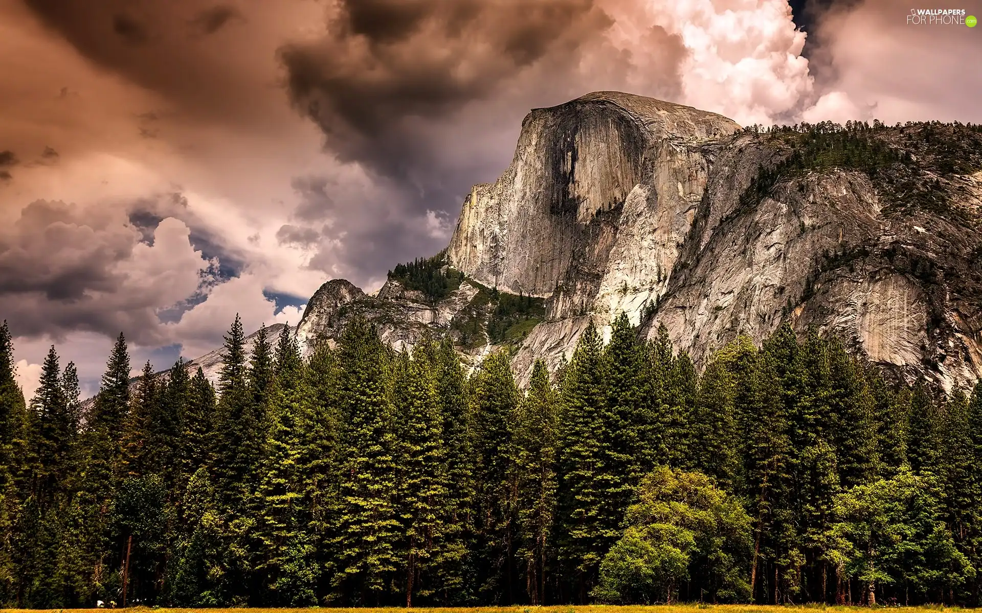 forest, Clouds, Sky, Mountains