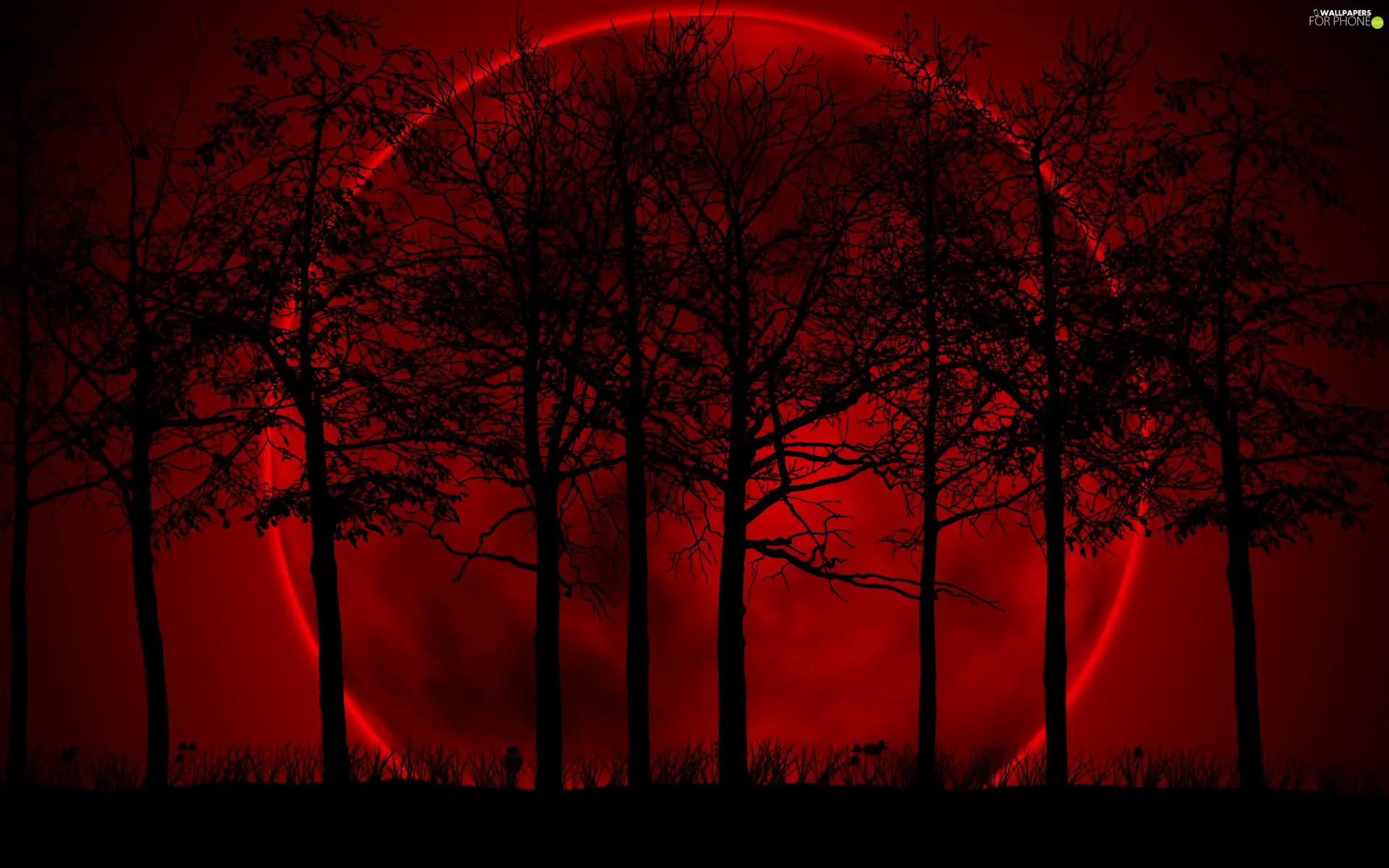 Sky, Planet, viewes, Red, trees