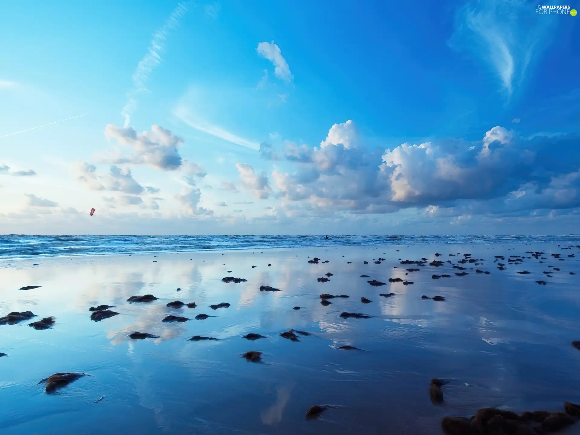 sea, blue, Sky, seaweed