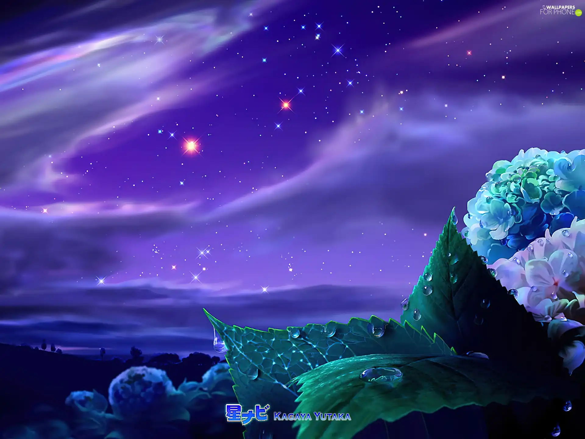 Sky, star, Kagaya, Leaf, graphics