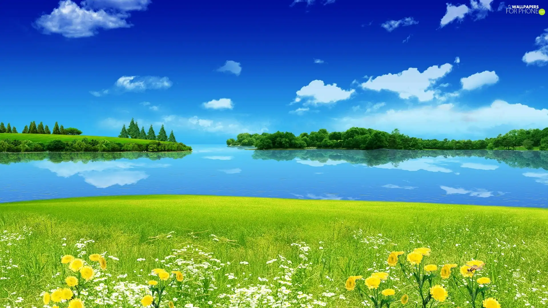 Sky, Meadow, water