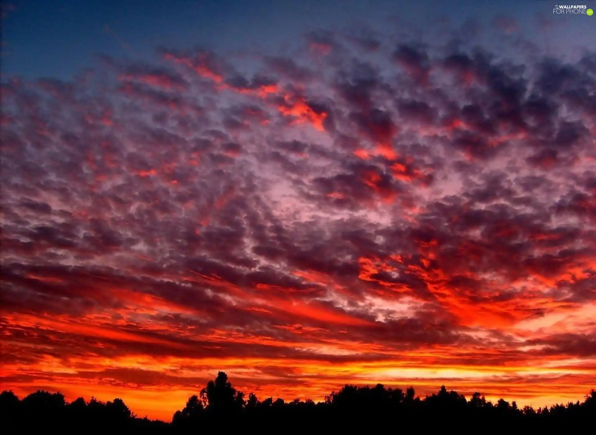 west, color, Sky, sun