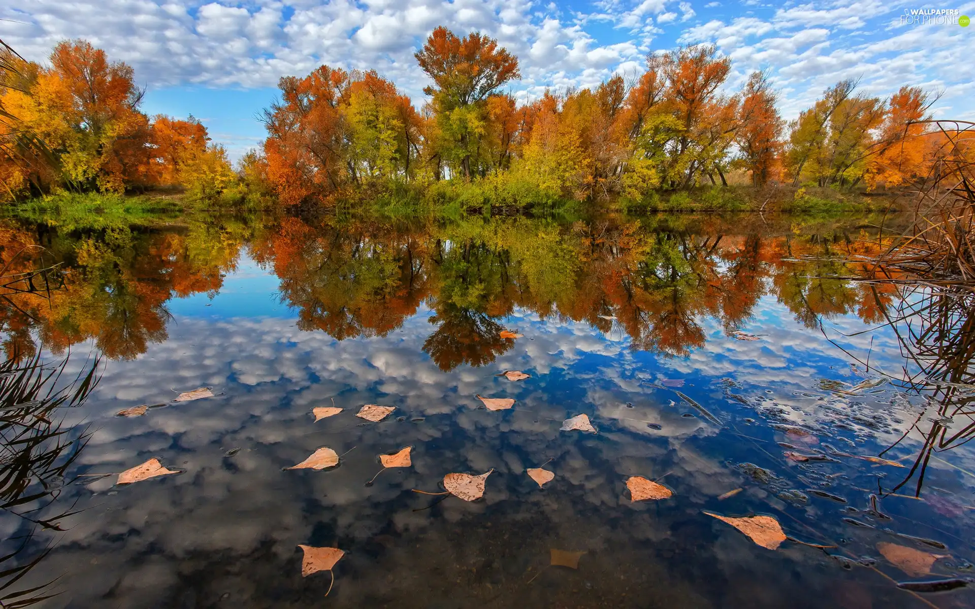 Sky, autumn, clouds, Leaf, viewes, reflection, Yellowed, trees, lake