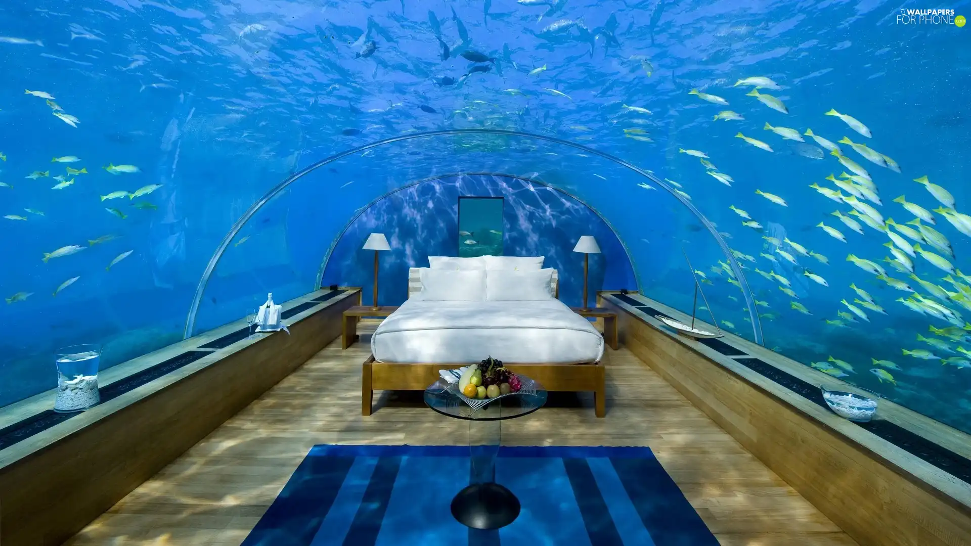 Bedroom, immersed, Room