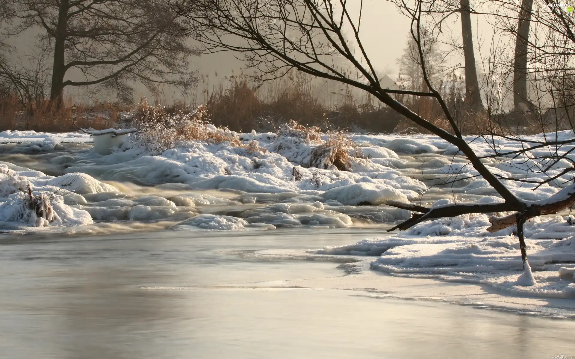 snow, River, Icecream