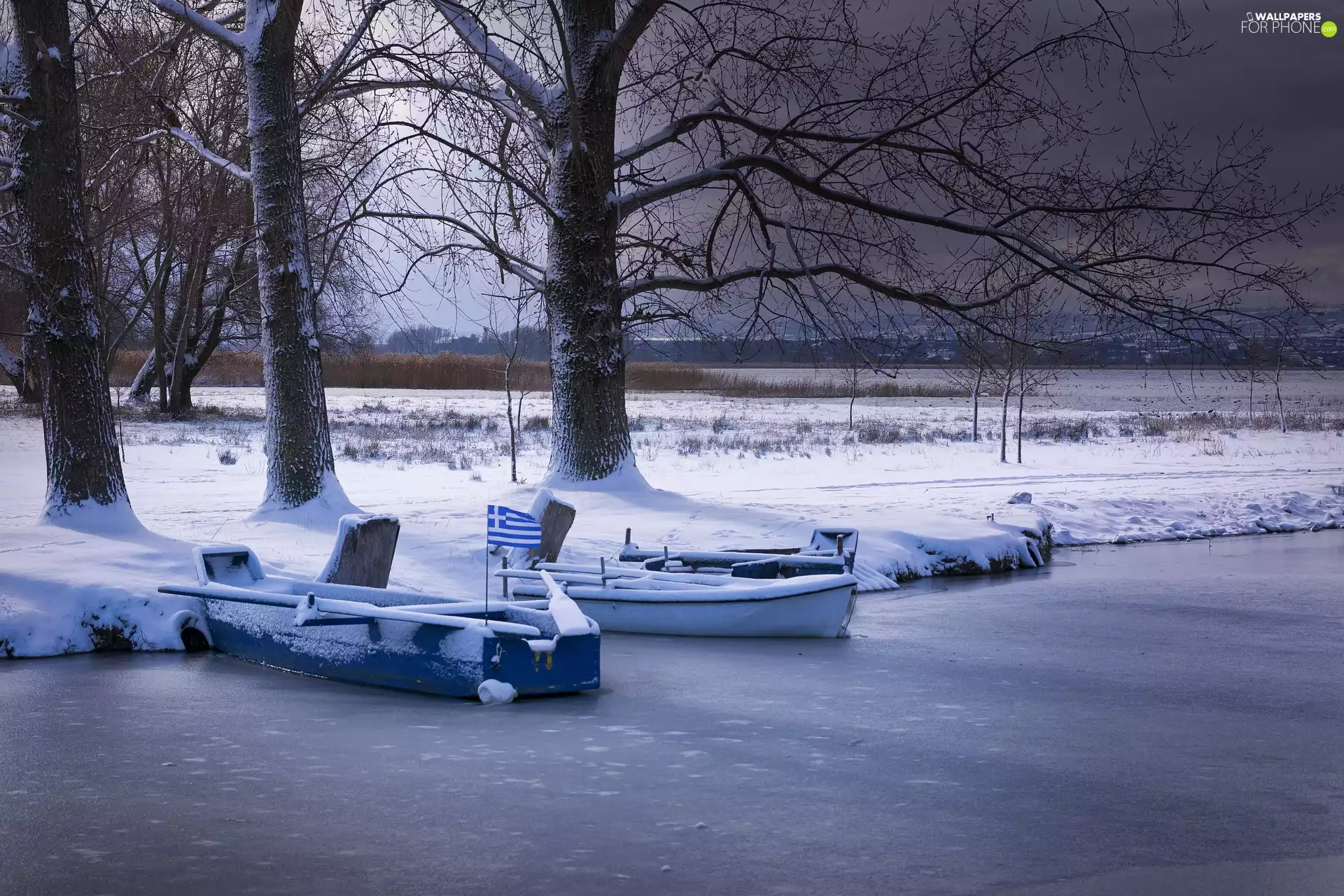boats, winter, viewes, snow, trees, lake