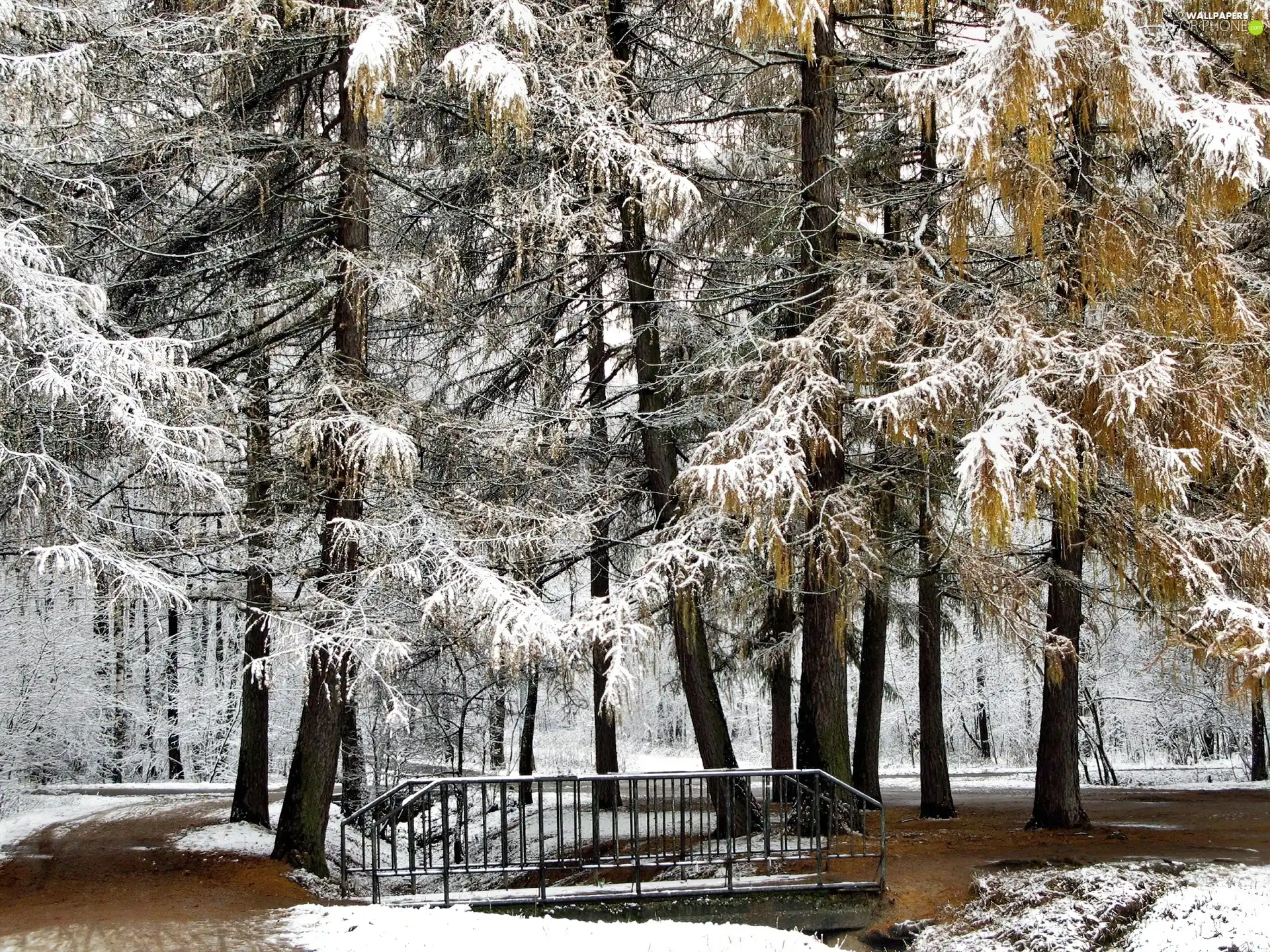 Park, first, snow, bridges