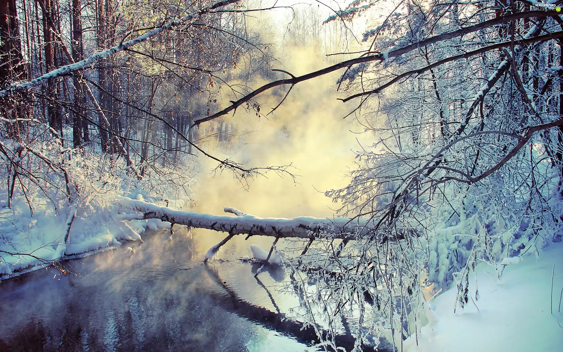 River, viewes, snow, trees