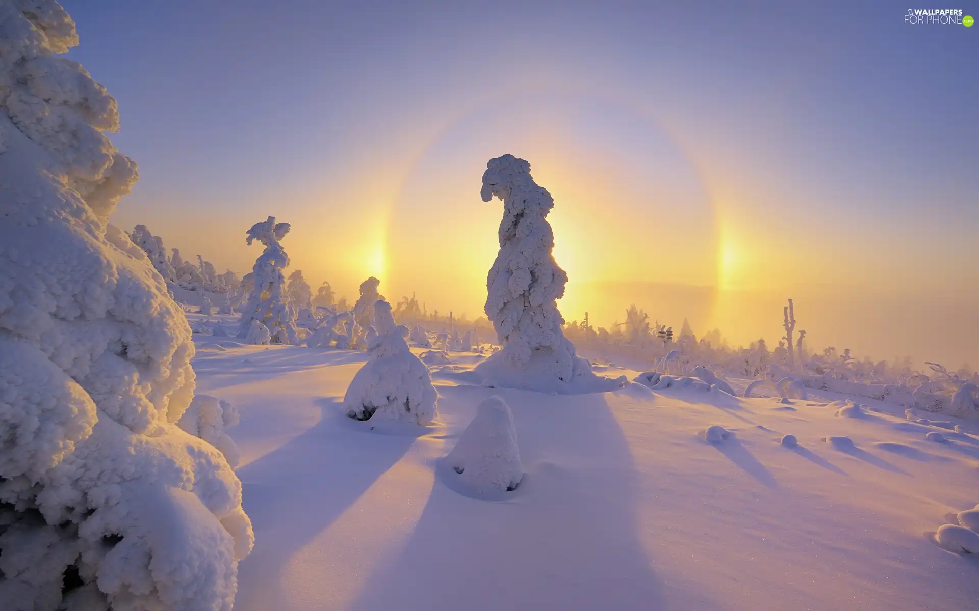 snow, sun, viewes, Covered, trees