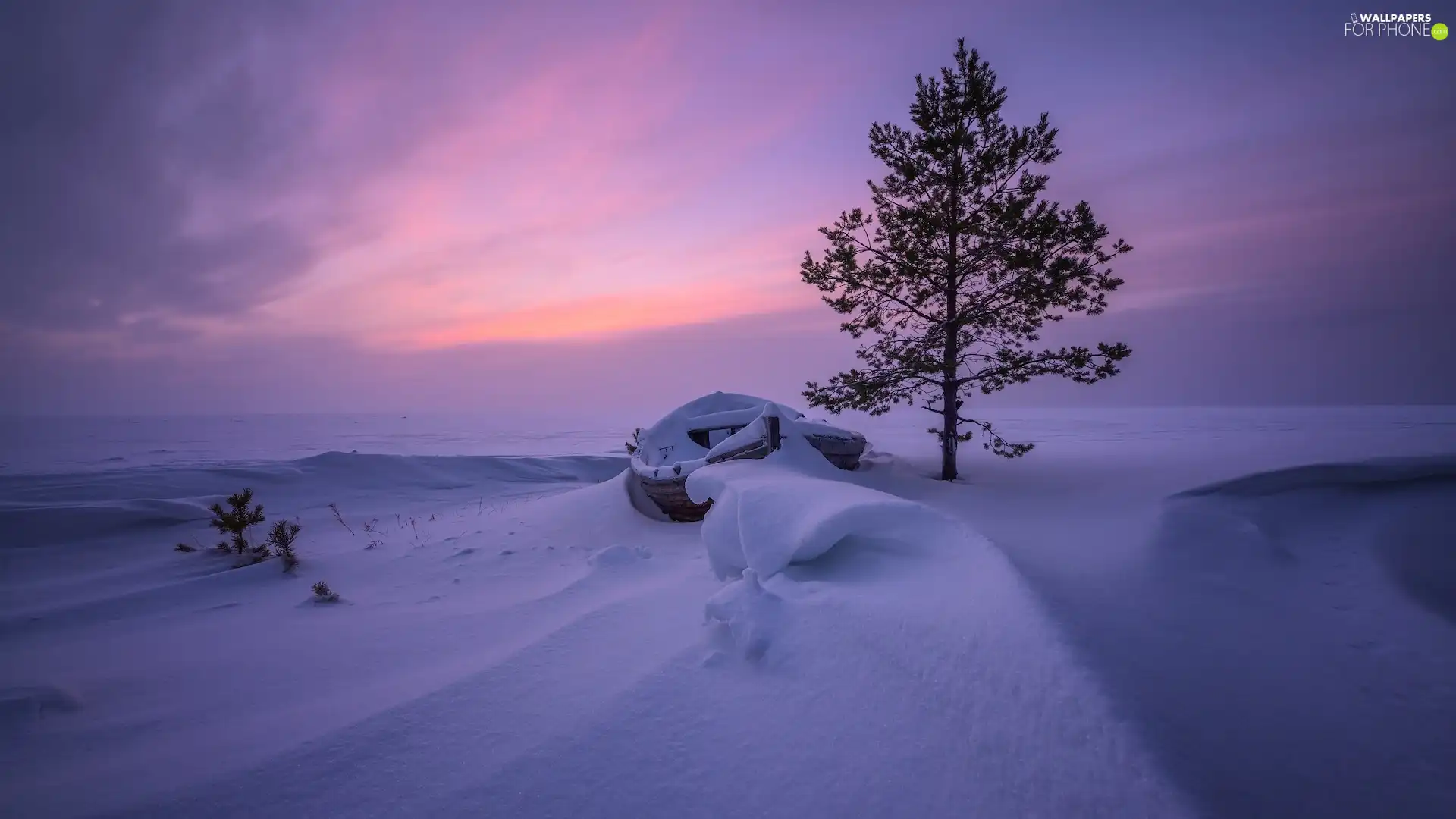 winter, Boat, A snow-covered, trees