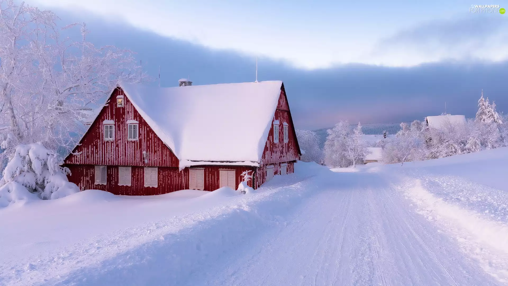 viewes, snow, Way, trees, house