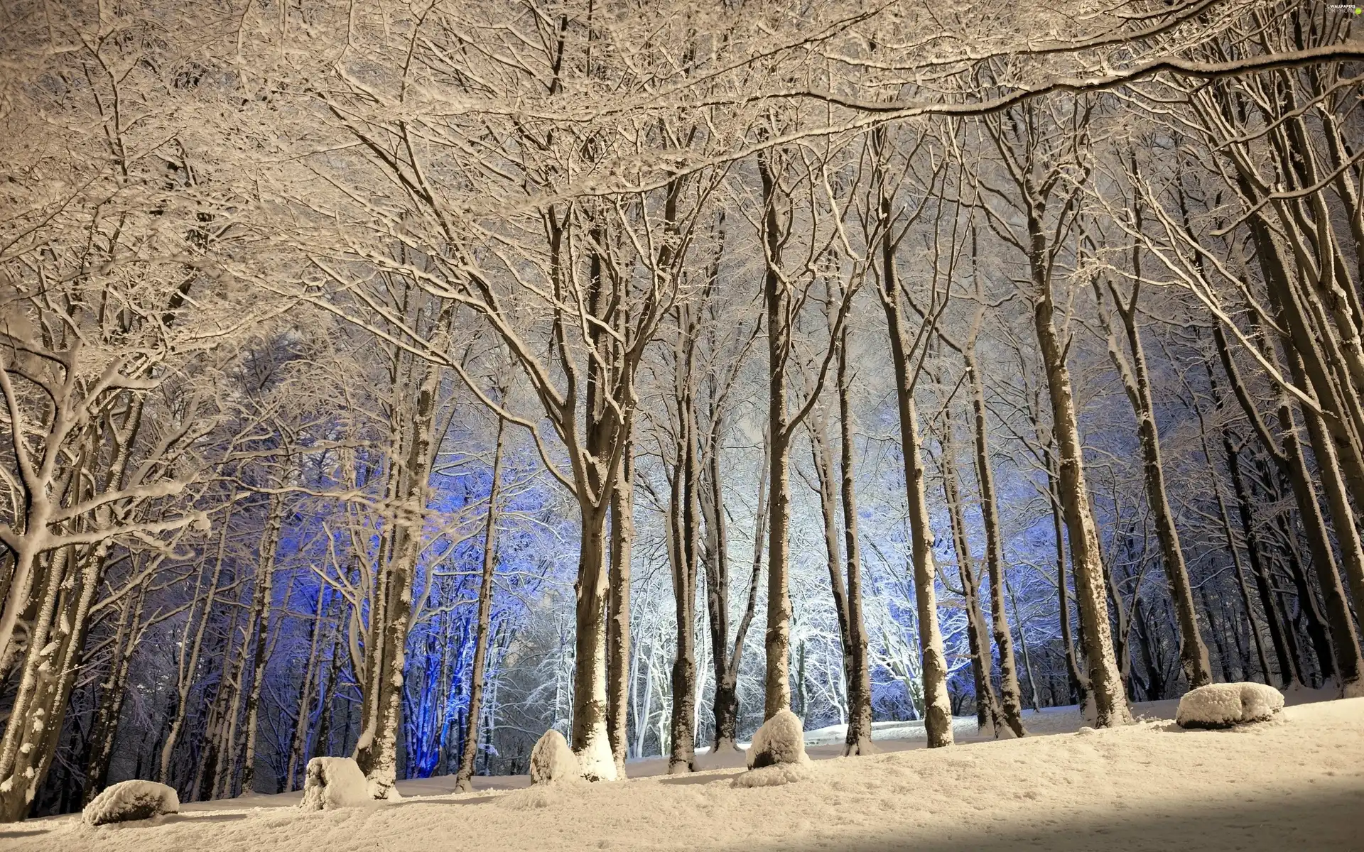 snow, winter, viewes, forest, trees