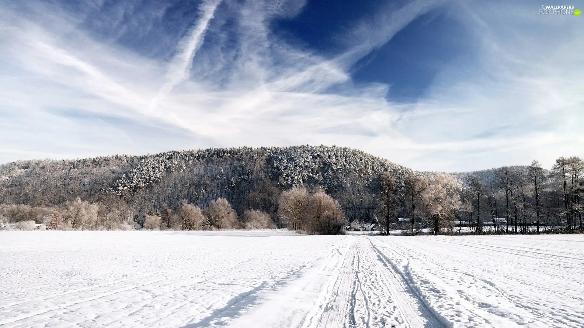 winter, viewes, snow, trees