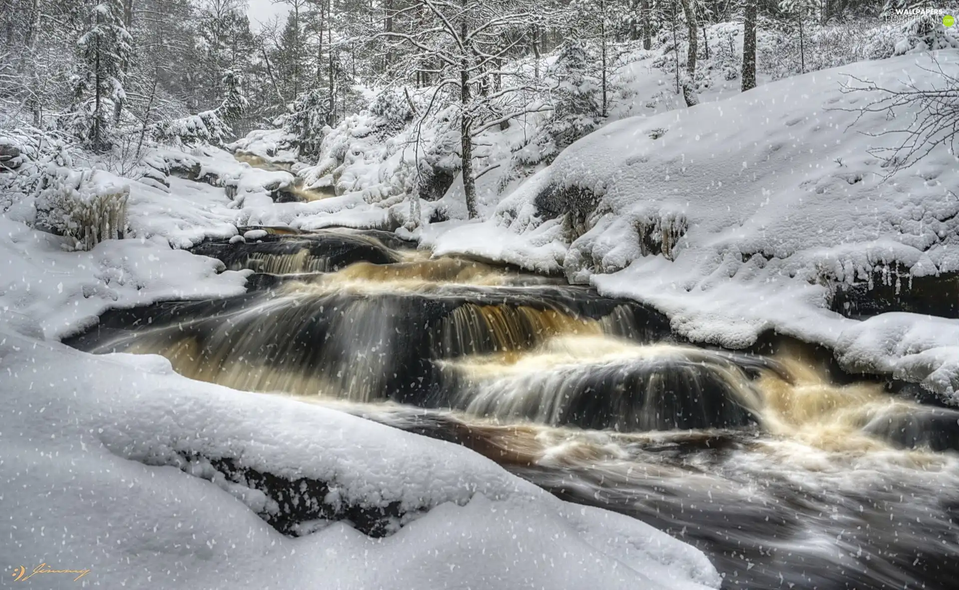 Cascades, forest, snow, winter, water, River