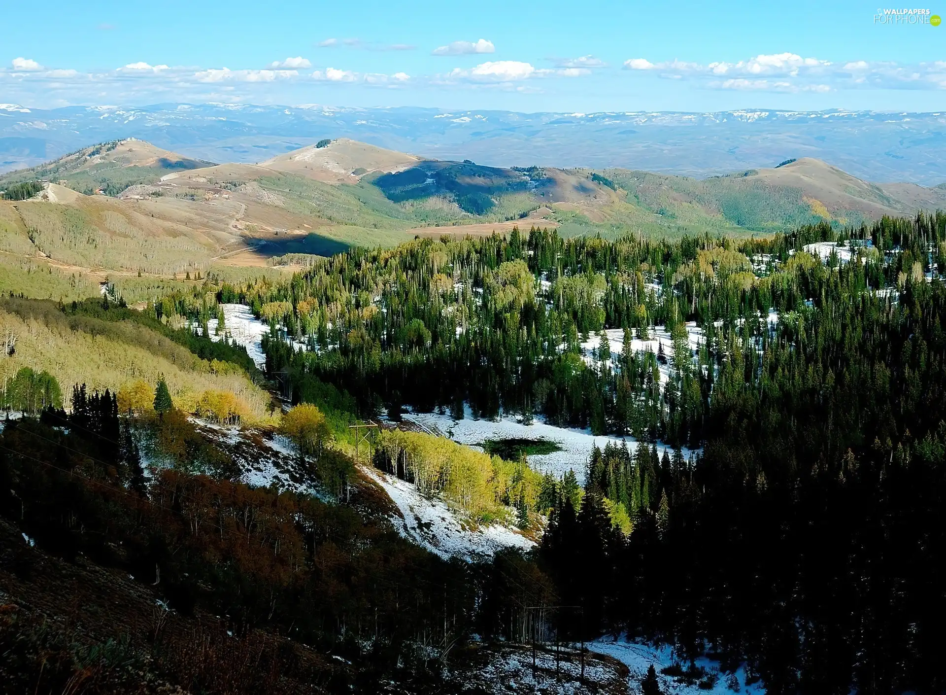 snow, Mountains, woods