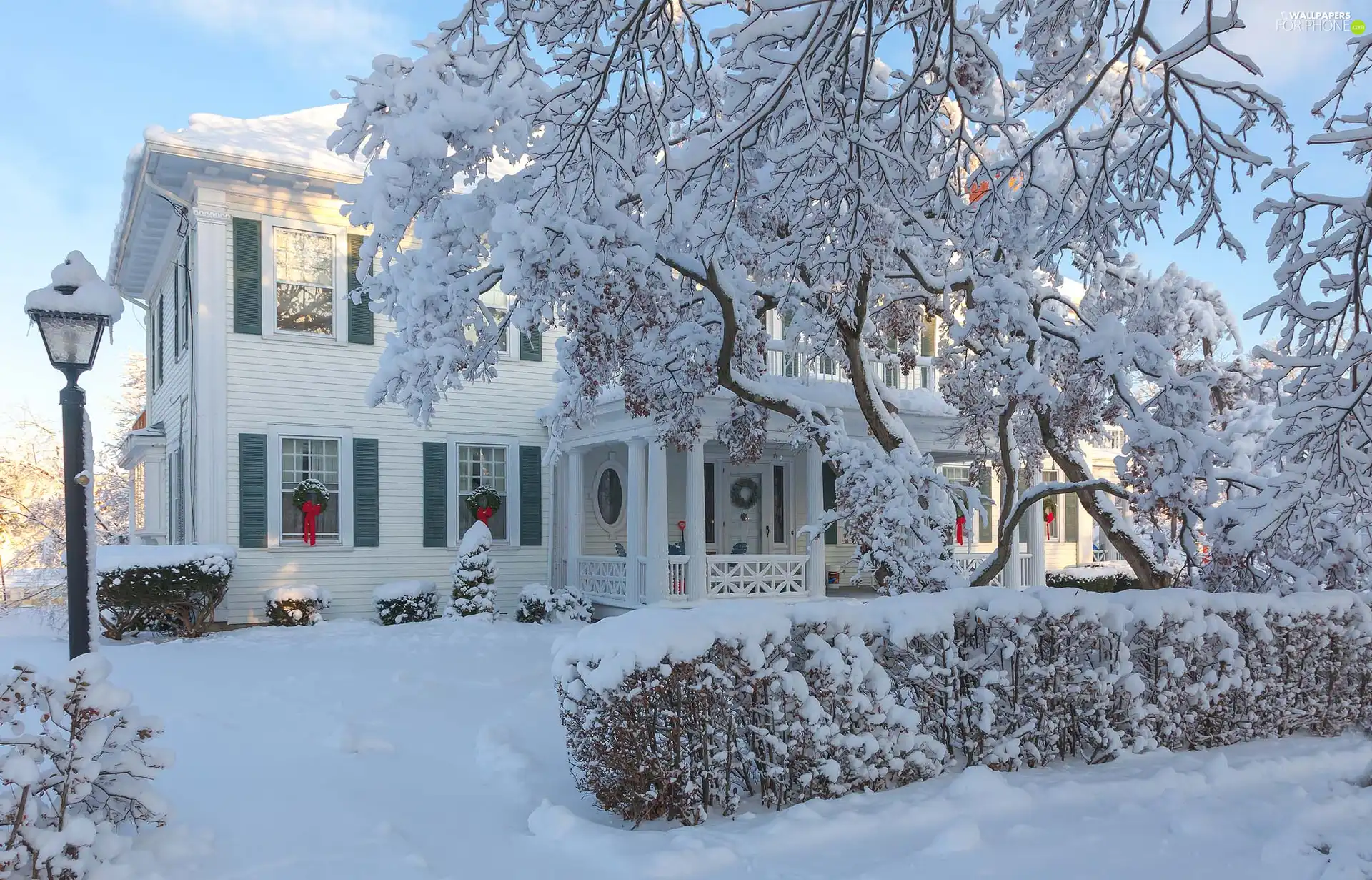 trees, house, Bush, Snowy, winter, viewes, Lighthouse