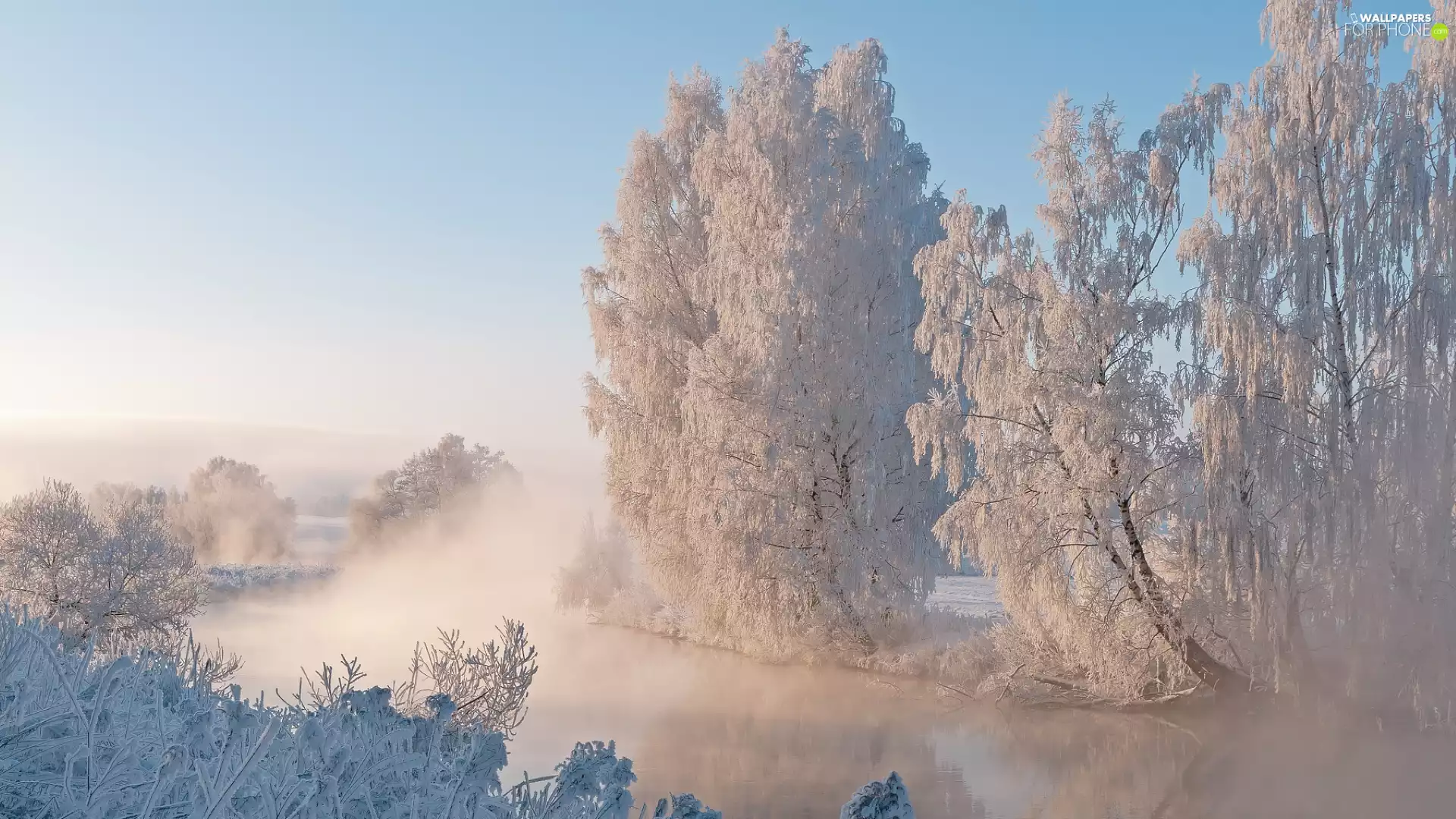 trees, River, Bush, Snowy, Fogged, viewes, winter