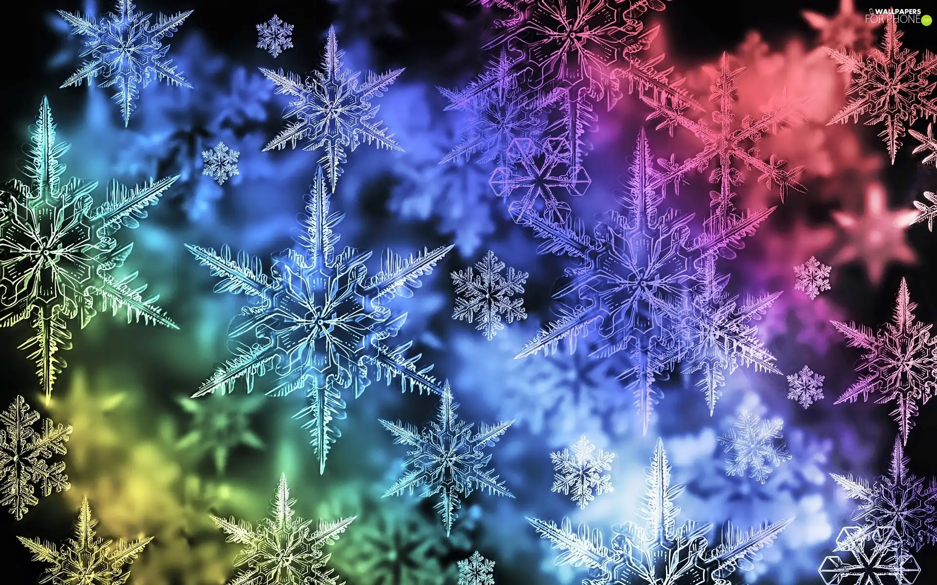 colors, snow, Snowy Stars