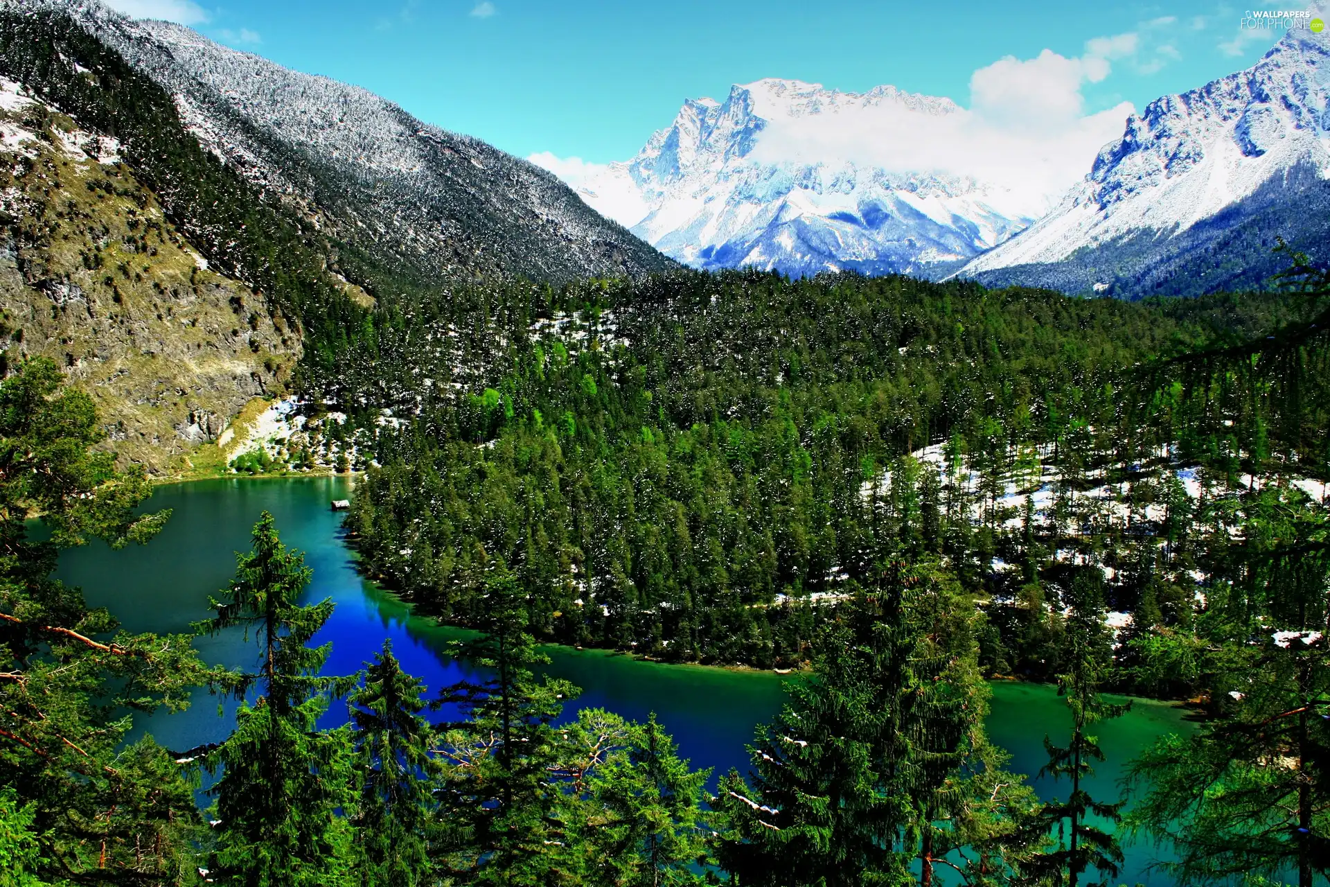 Snowy, peaks, woods, Softwood, River