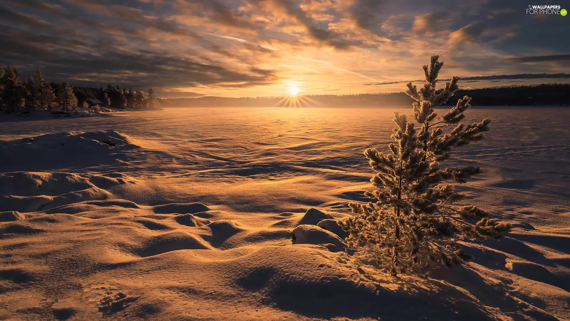 snowy, lake, Norway, trees, Ringerike, Great Sunsets, winter, viewes