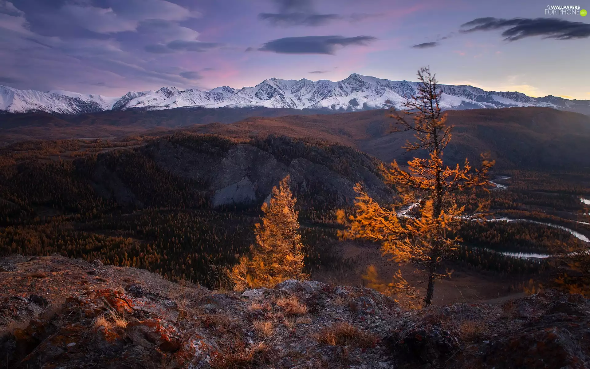 peaks, Mountains, trees, Snowy, autumn, River, viewes